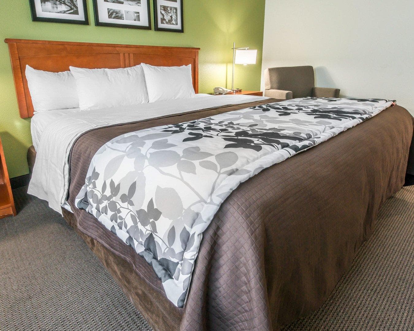 Sleep Inn & Suites Winchester near University — 13