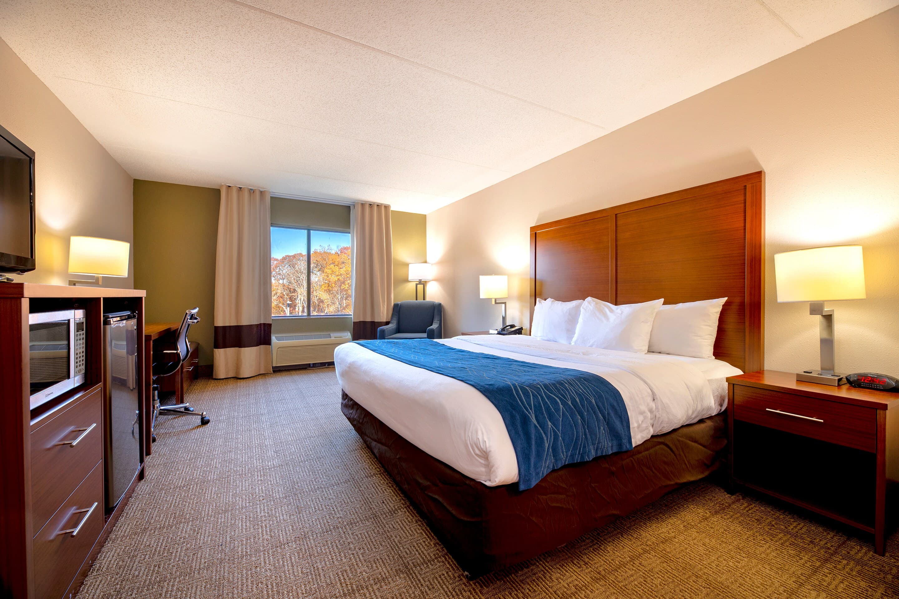 Comfort Inn Near Quantico Main Gate North - Image 3