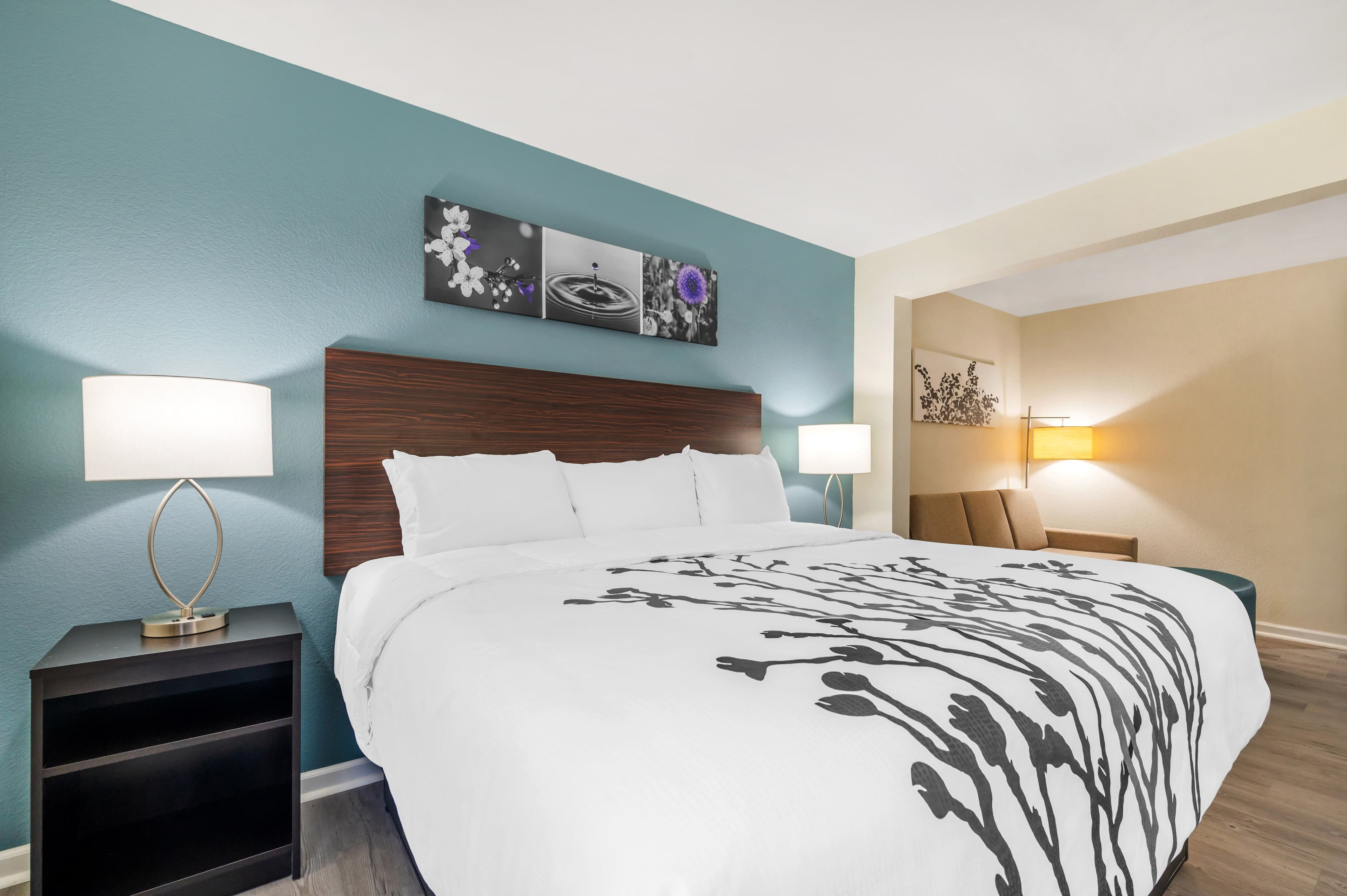Sleep Inn & Suites Newport News City Center Area — 13