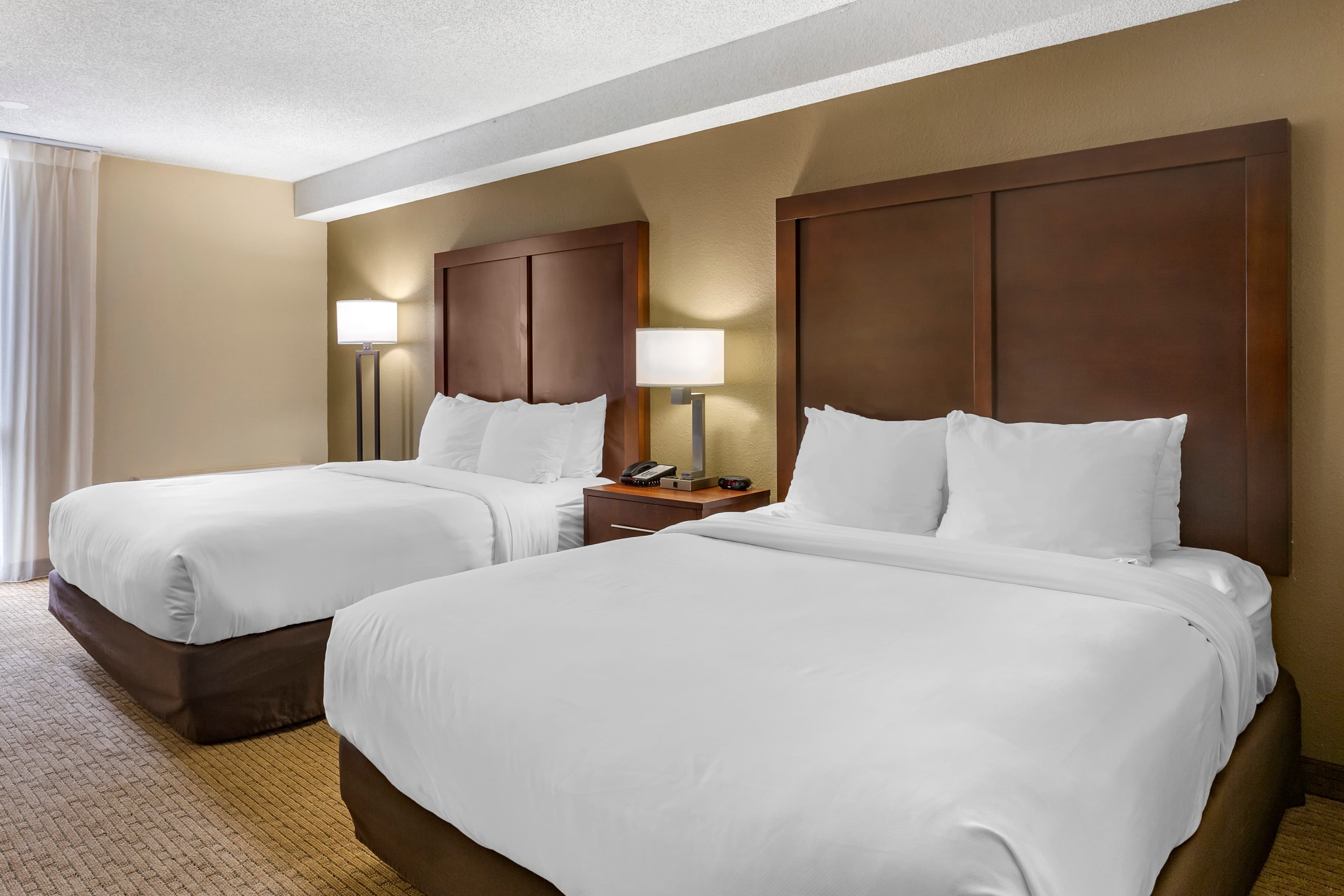 Comfort Inn & Suites near Danville Mall - Image 2