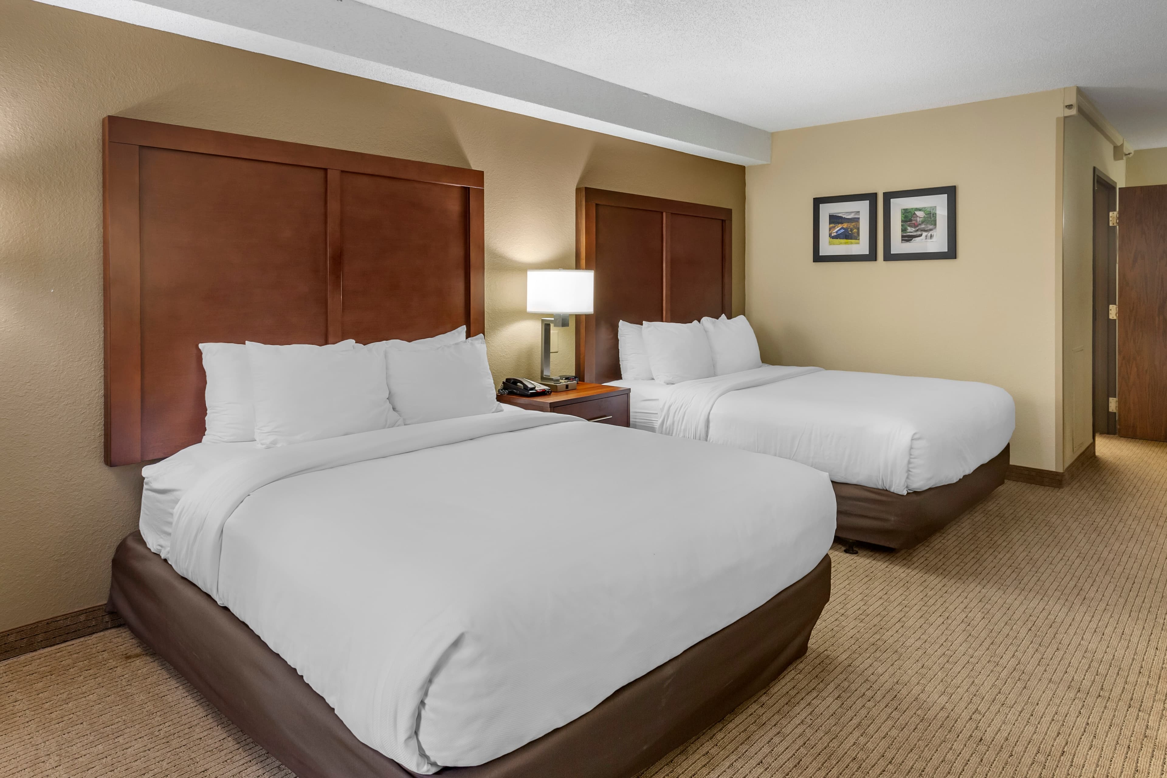 Comfort Inn & Suites near Danville Mall - Image 4