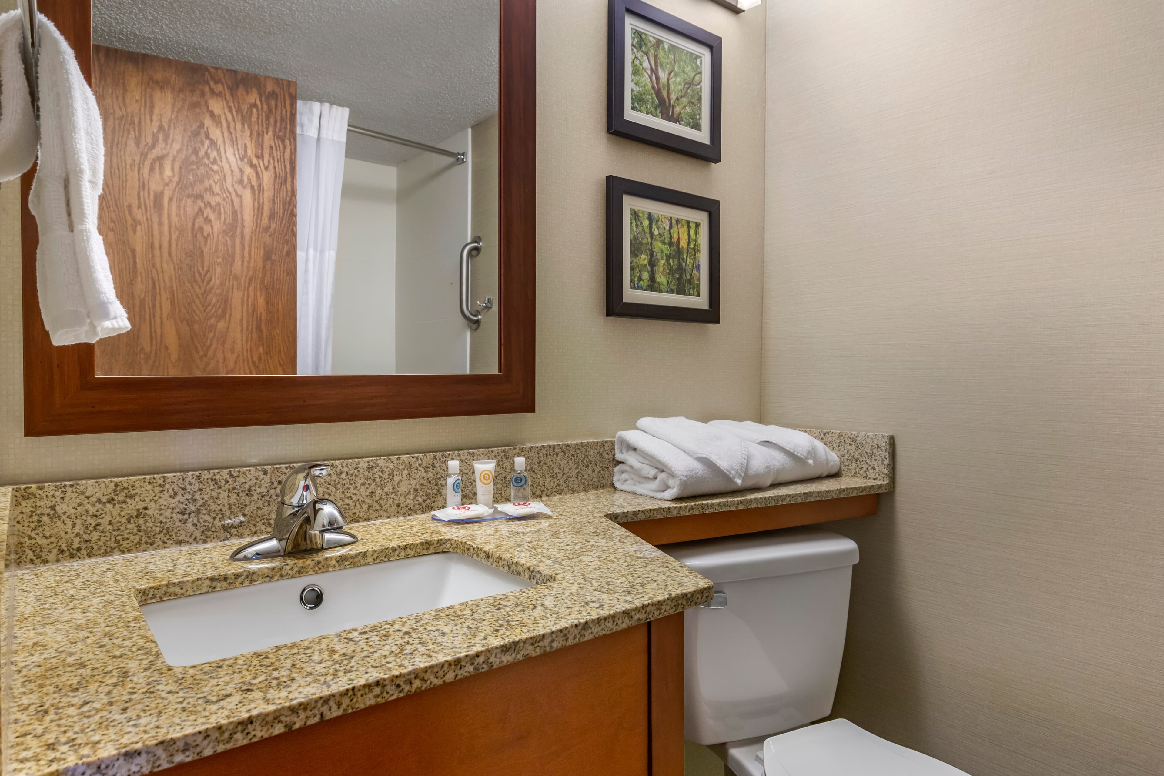 Comfort Inn & Suites near Danville Mall - Image 5