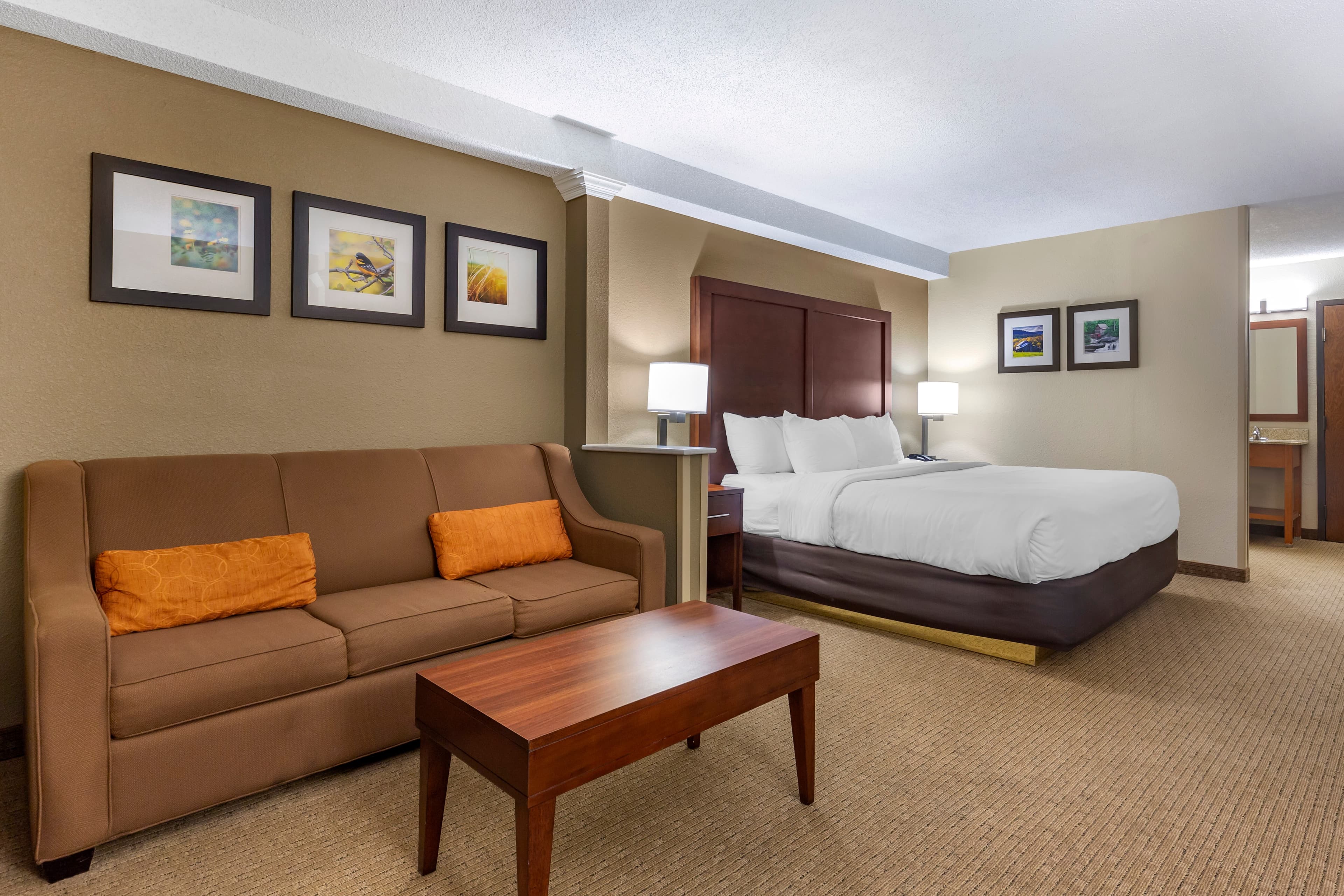 Comfort Inn & Suites near Danville Mall — 19