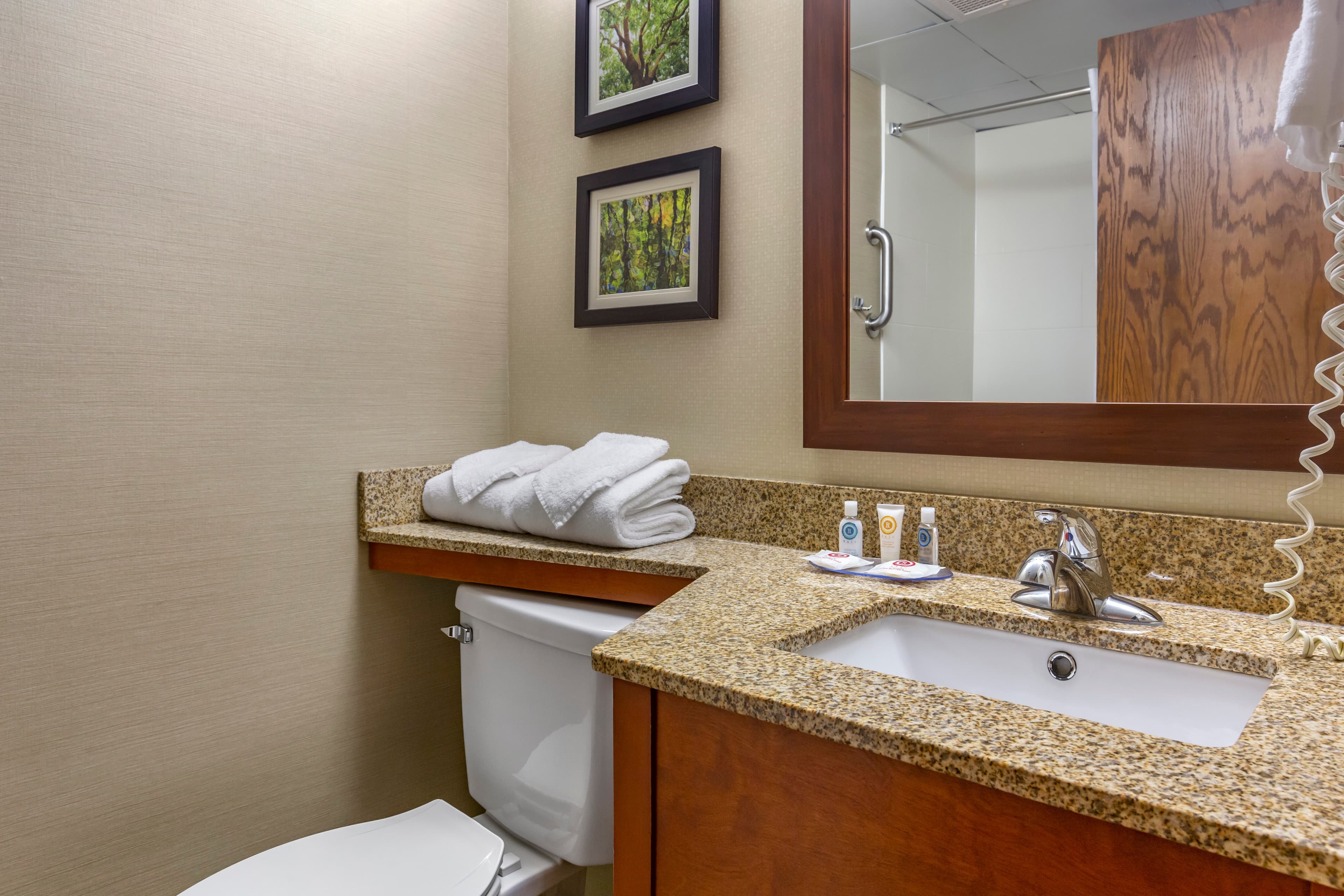 Comfort Inn & Suites near Danville Mall — 20