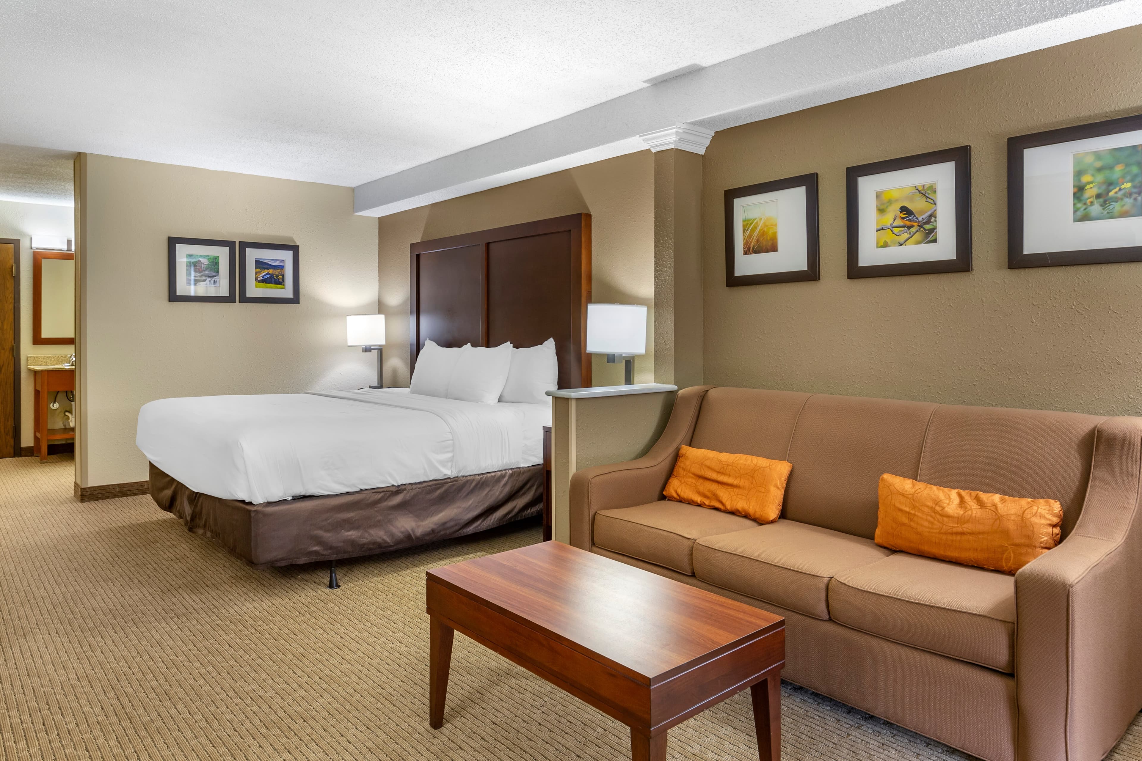 Comfort Inn & Suites near Danville Mall — 21