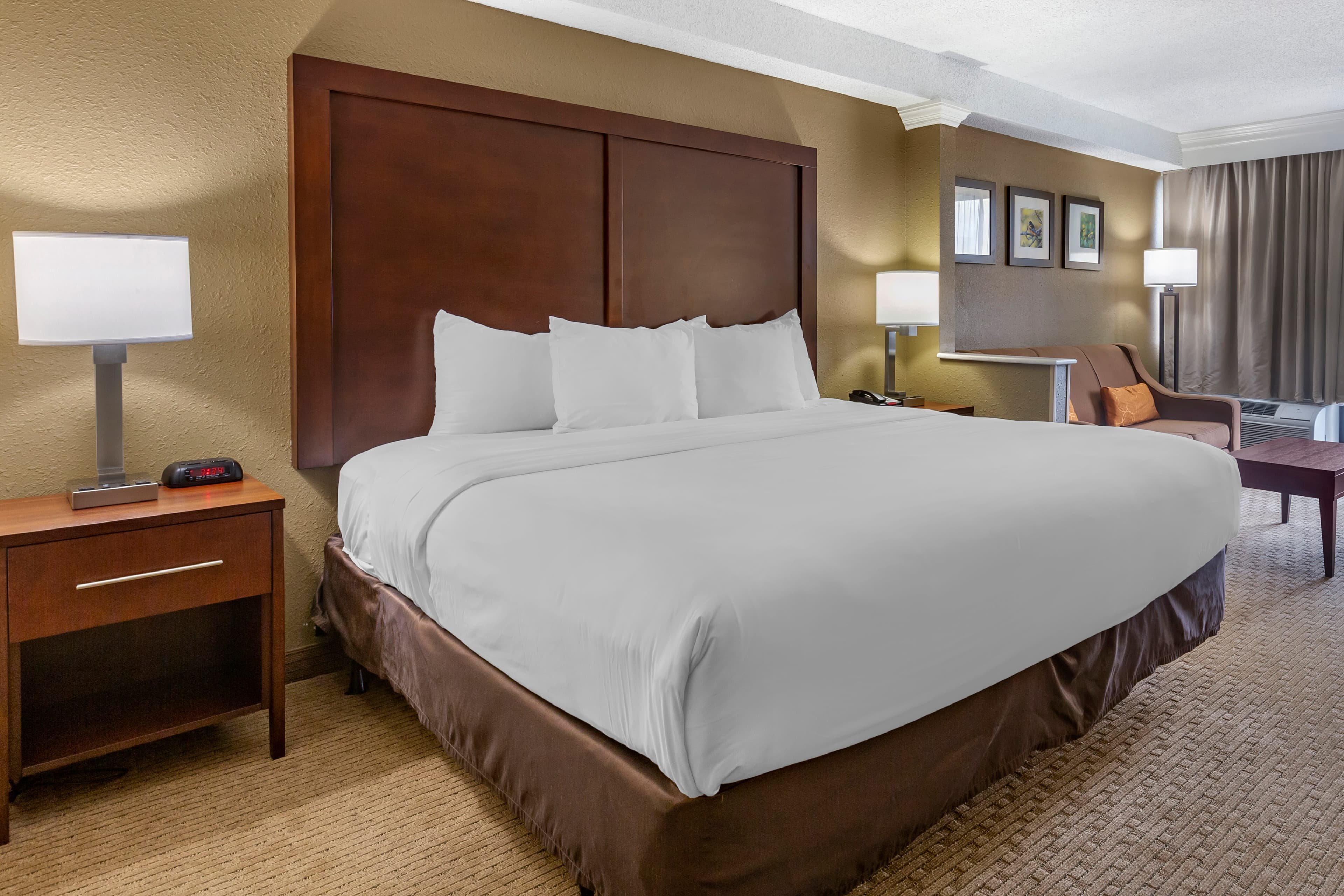 Comfort Inn & Suites near Danville Mall — 23