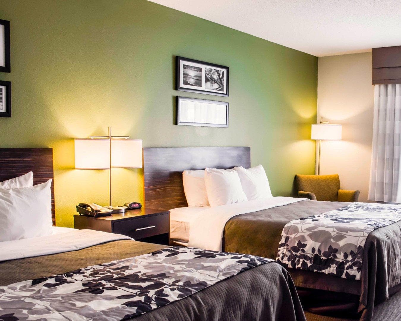 Sleep Inn & Suites Virginia Horse Center - Image 5