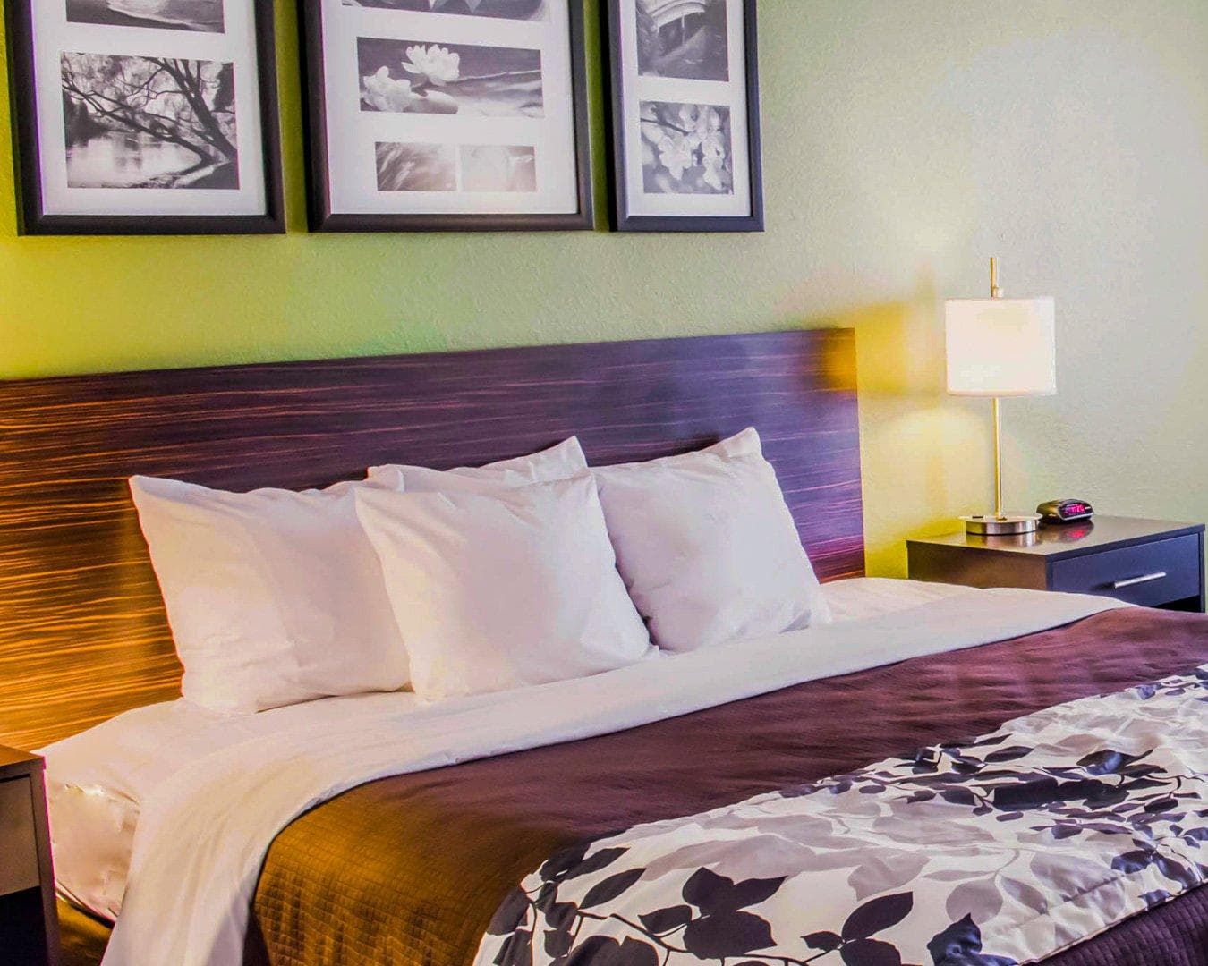 Sleep Inn & Suites Virginia Horse Center - Image 2