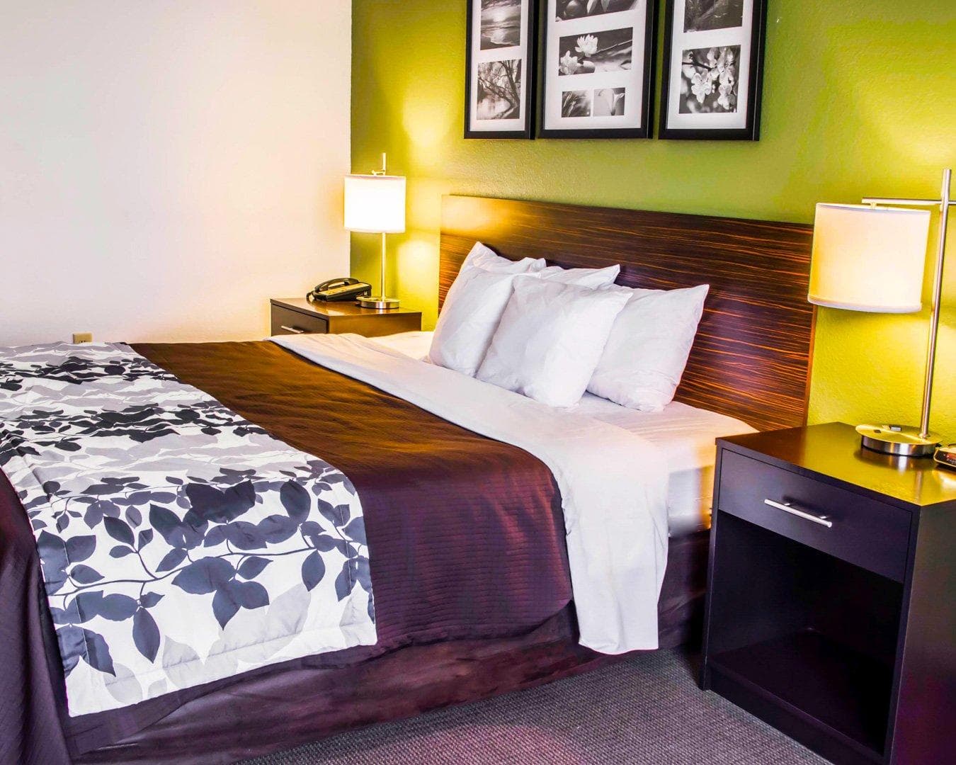 Sleep Inn & Suites Virginia Horse Center - Image 3