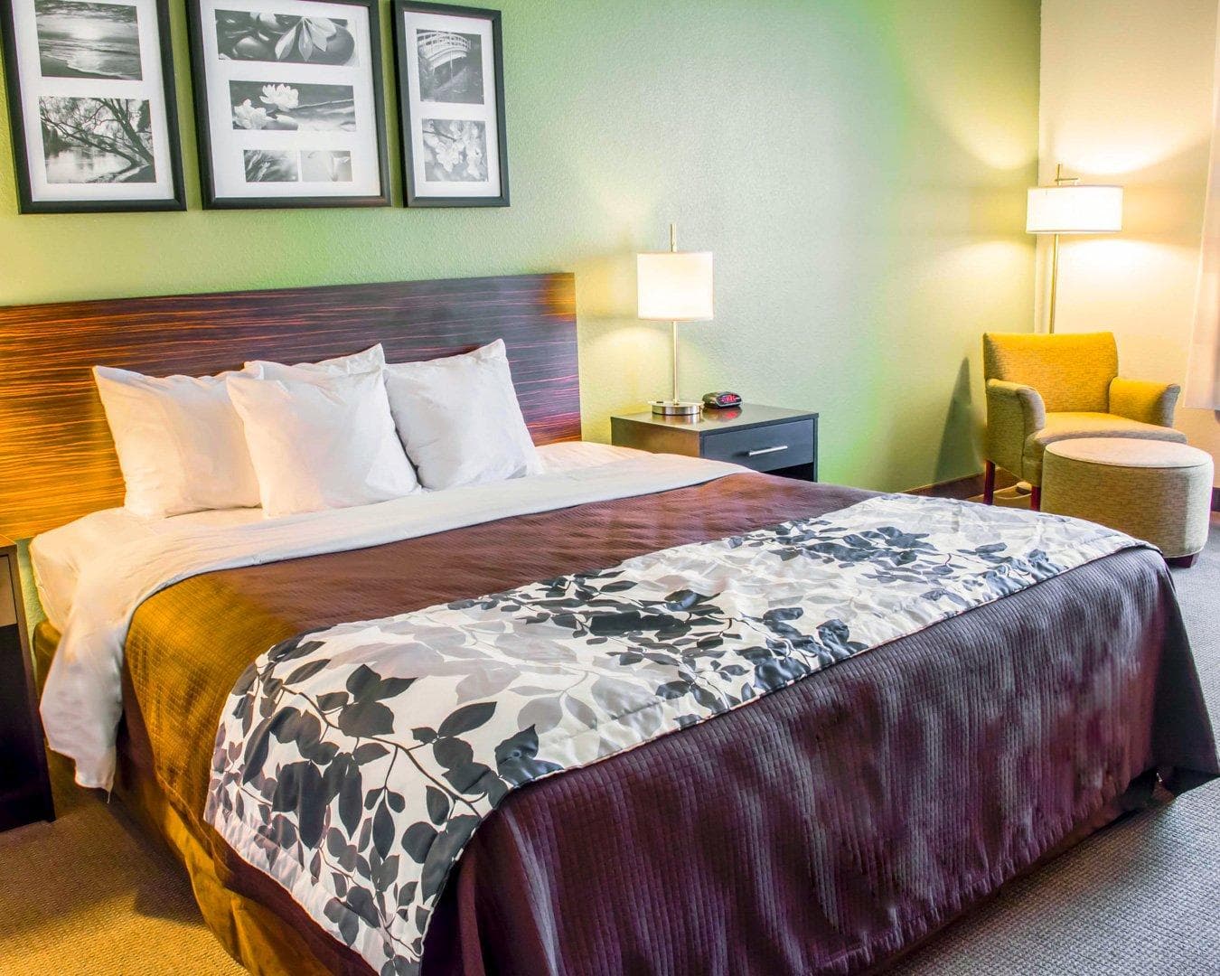 Sleep Inn & Suites Virginia Horse Center - Image 4