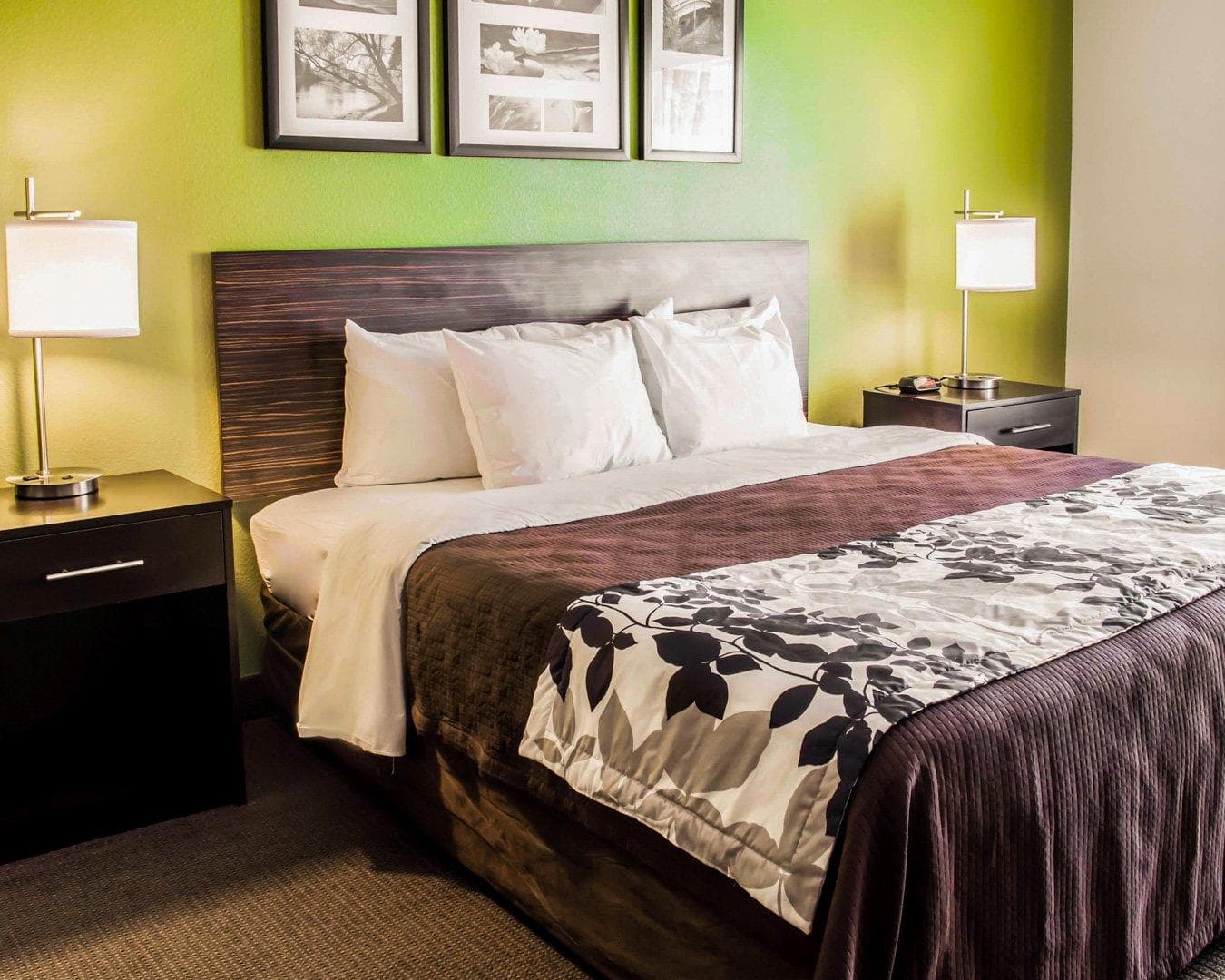 Sleep Inn & Suites Virginia Horse Center - Image 1