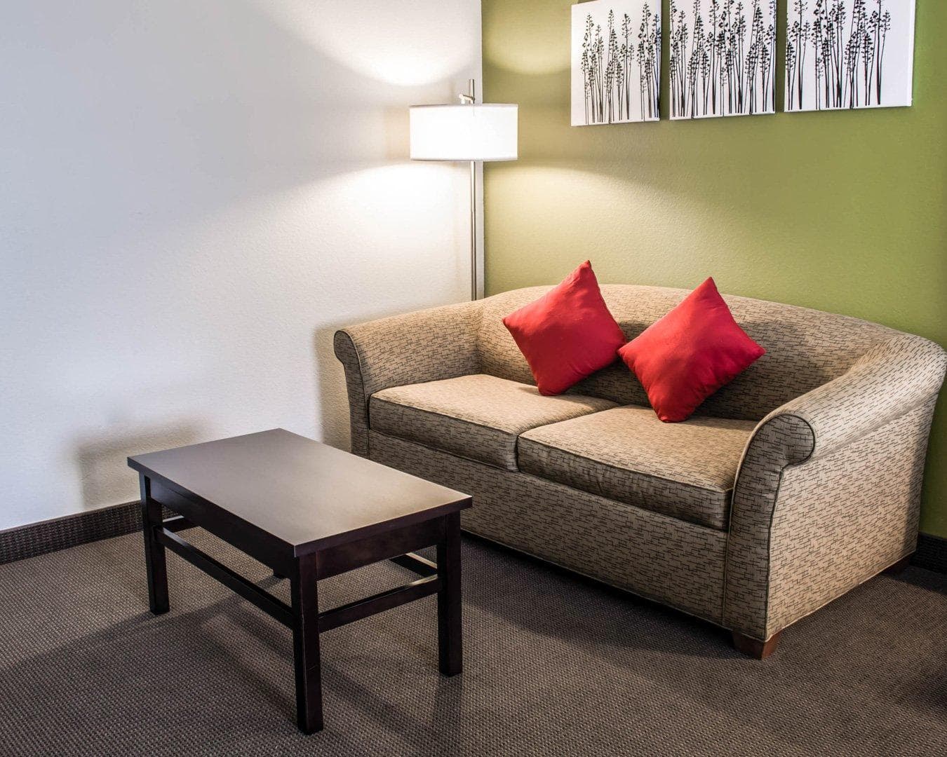 Sleep Inn & Suites Virginia Horse Center — 22