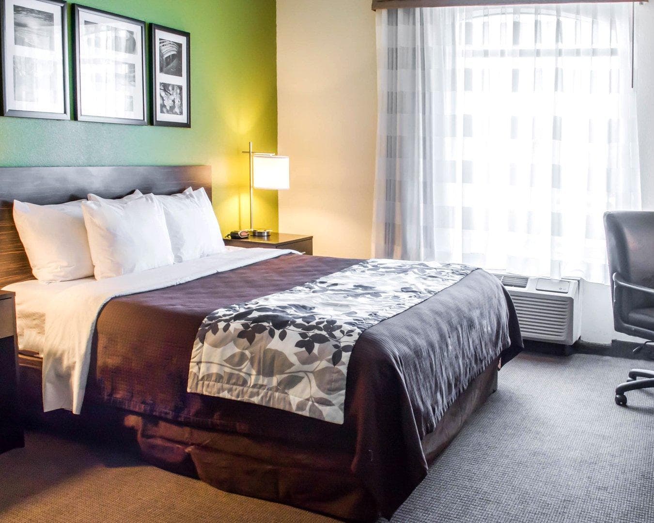 Sleep Inn & Suites Virginia Horse Center — 26