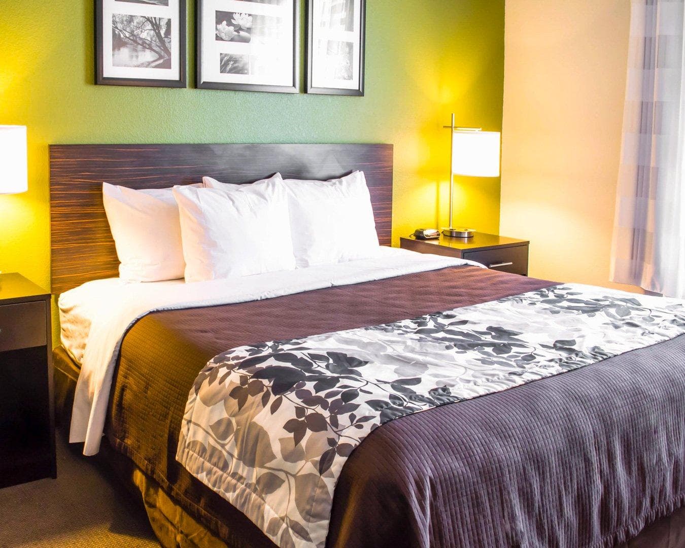 Sleep Inn & Suites Virginia Horse Center — 27