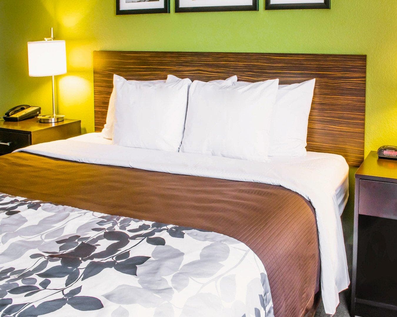 Sleep Inn & Suites Virginia Horse Center — 28