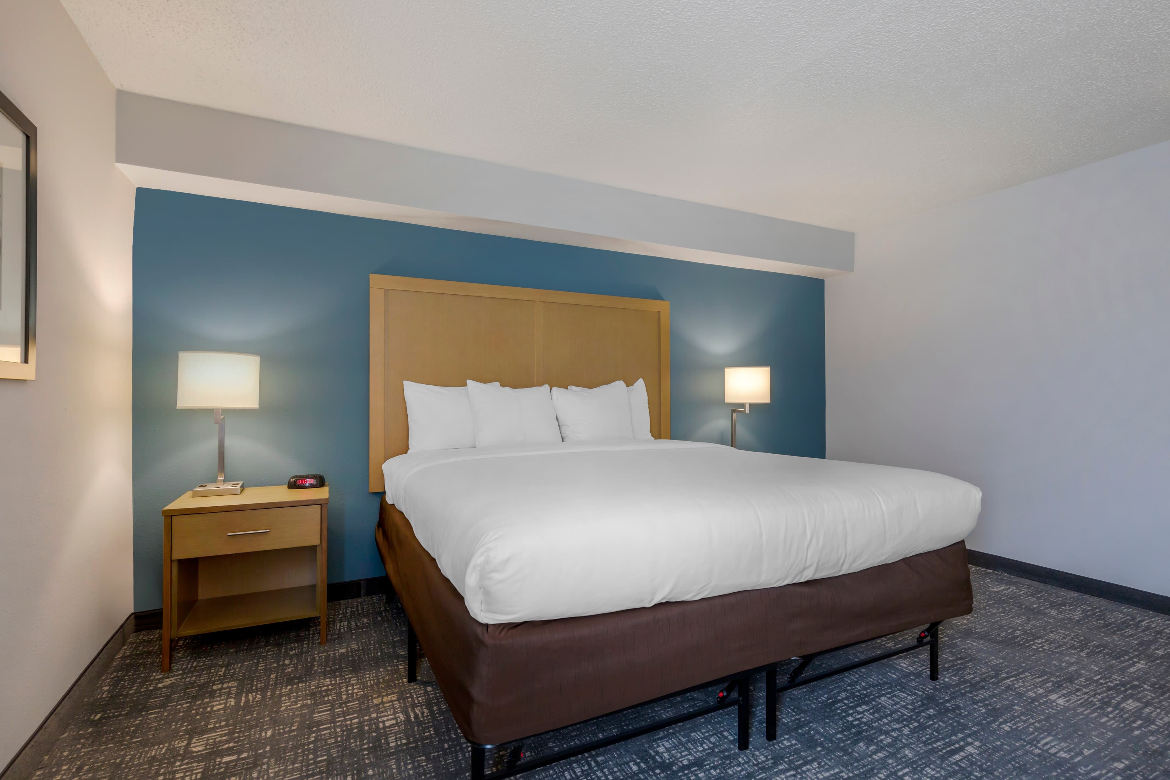 Comfort Inn & Suites Alexandria West — 13