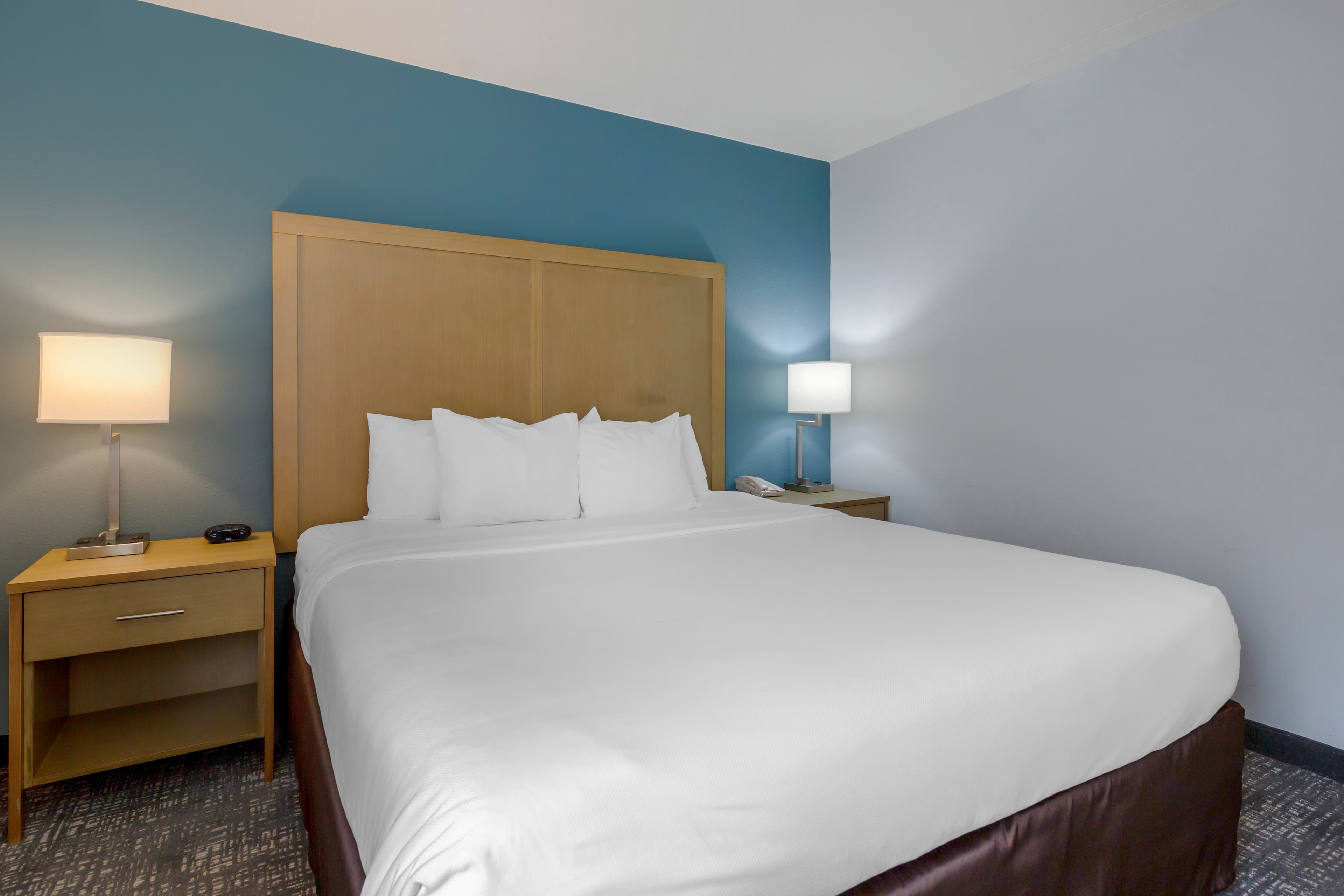 Comfort Inn & Suites Alexandria West — 10