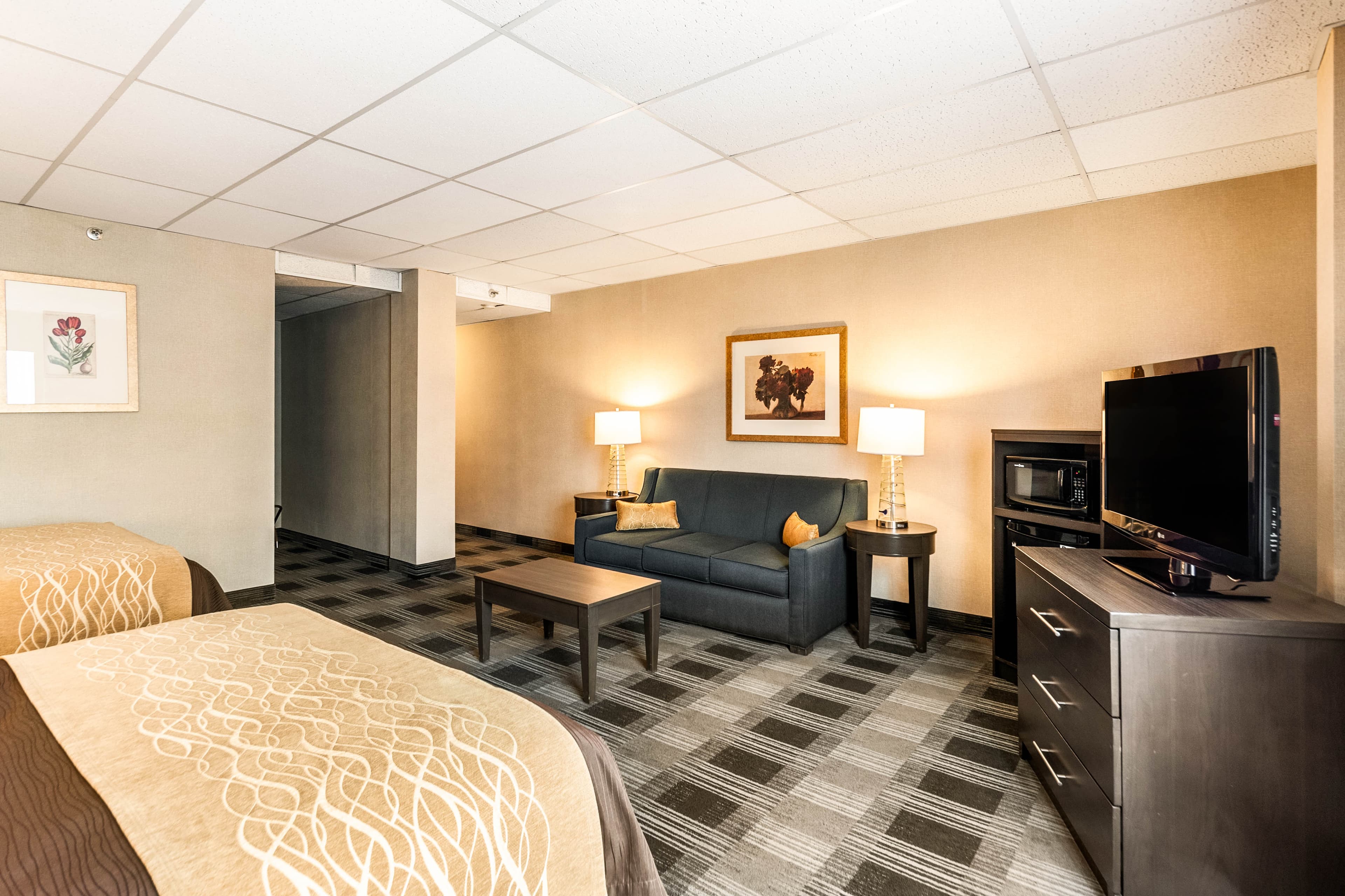 Comfort Inn Ballston — 22