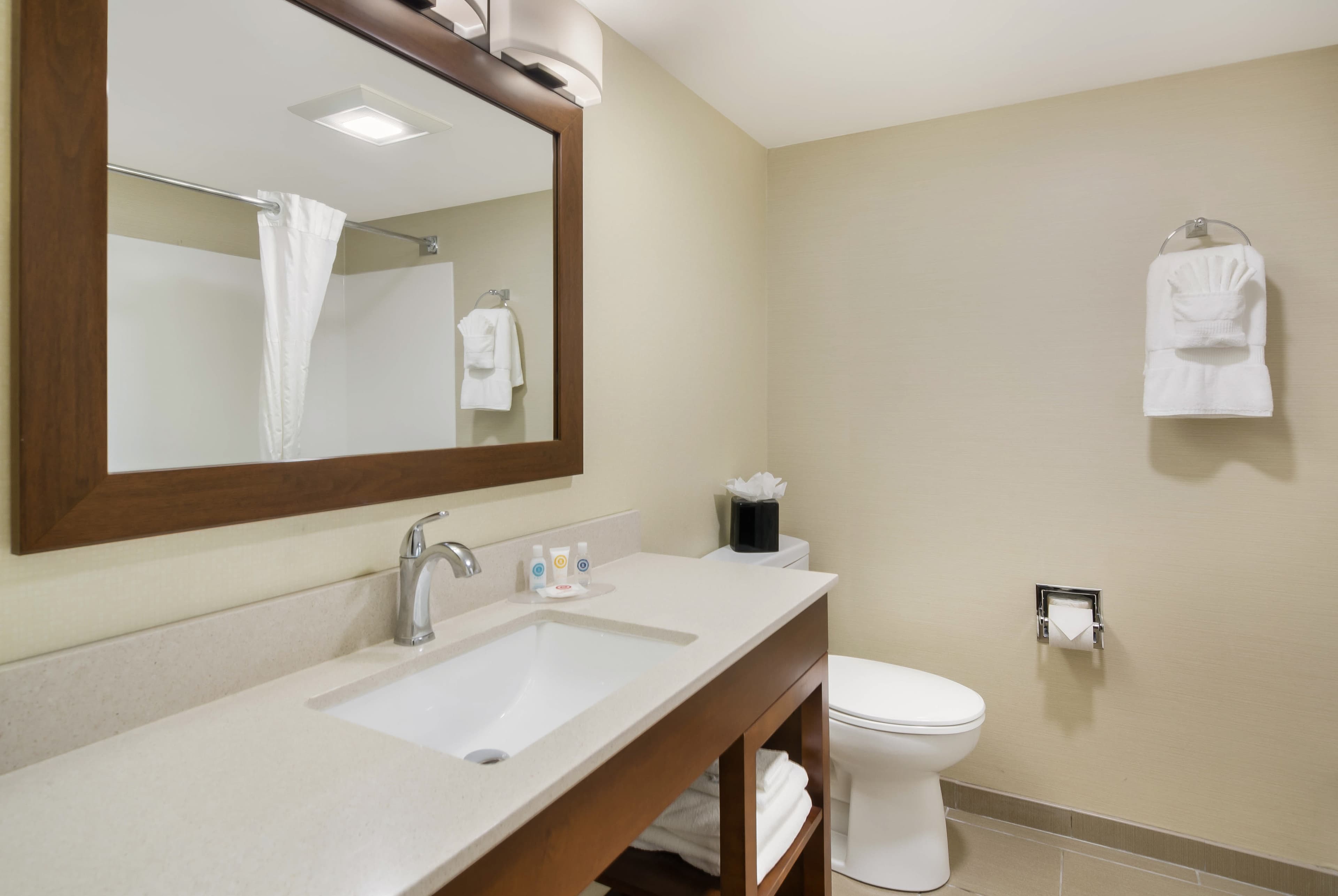 Comfort Inn Lexington Virginia Horse Center — 14