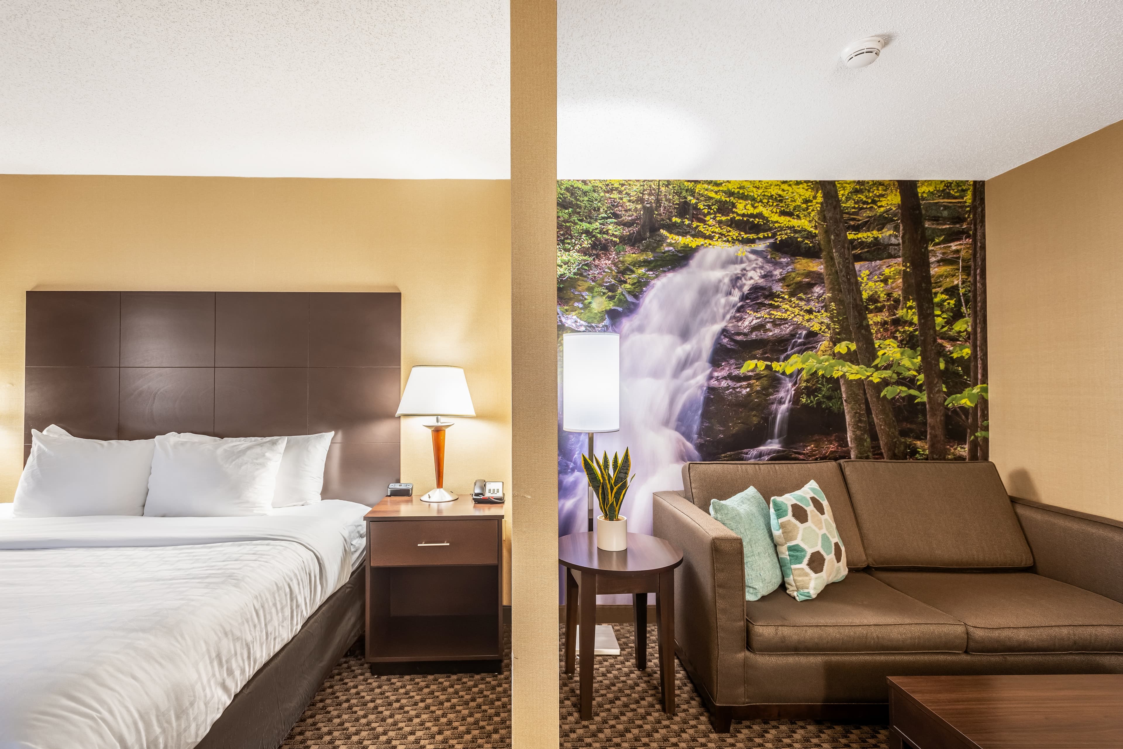 Clarion Pointe Harrisonburg — 37