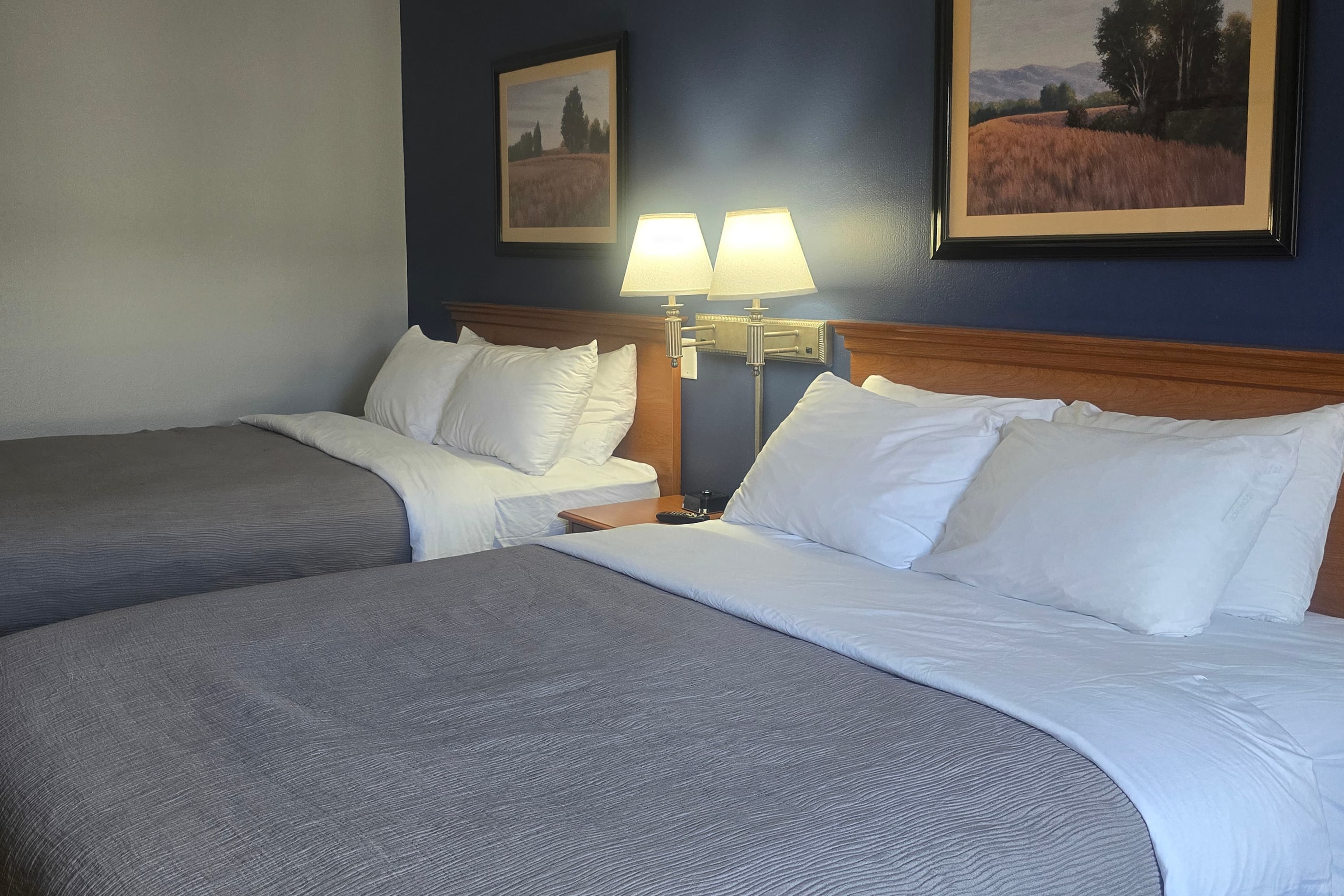 Quality Inn Dublin I-81 — 8