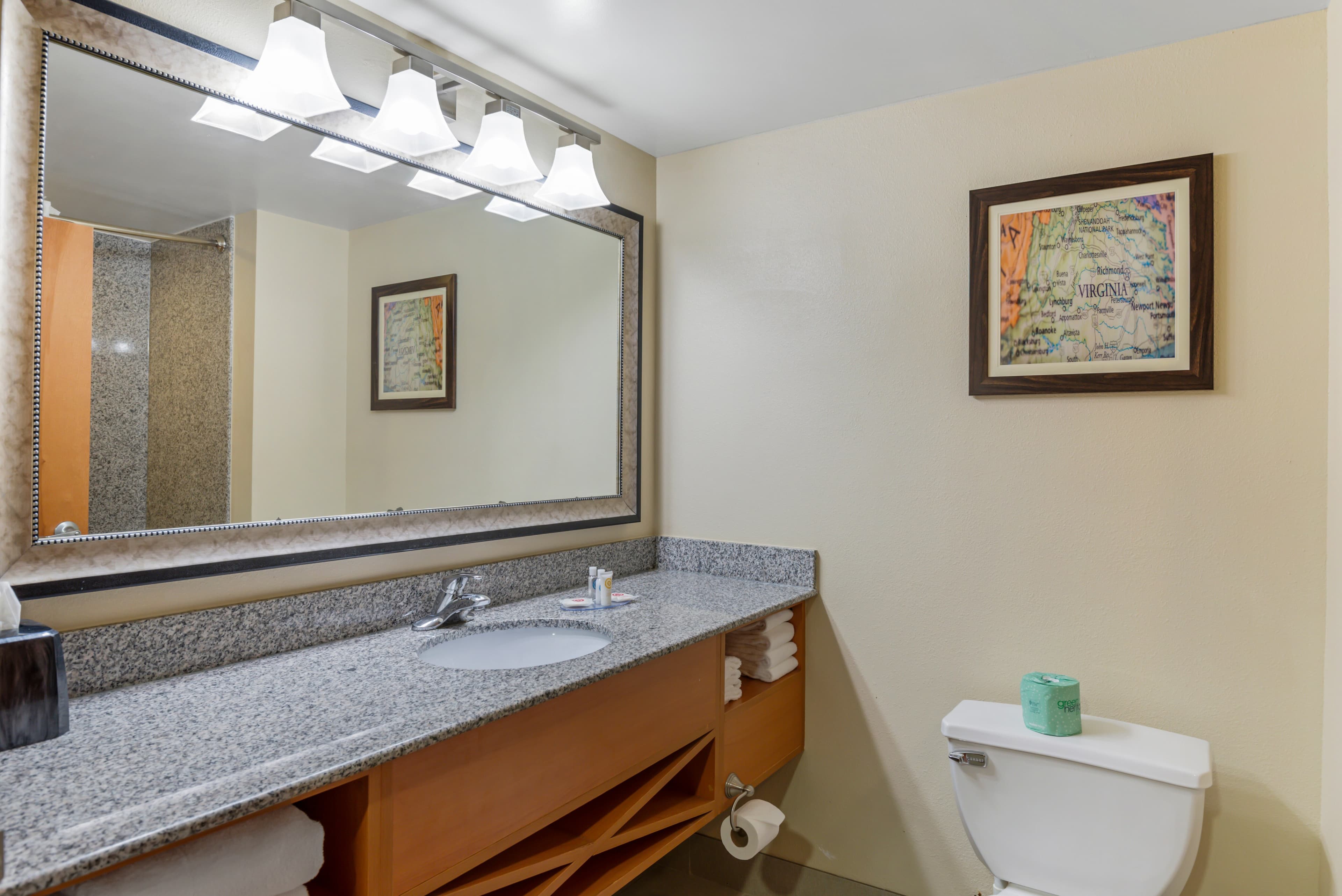 Comfort Suites At Virginia Center Commons — 27