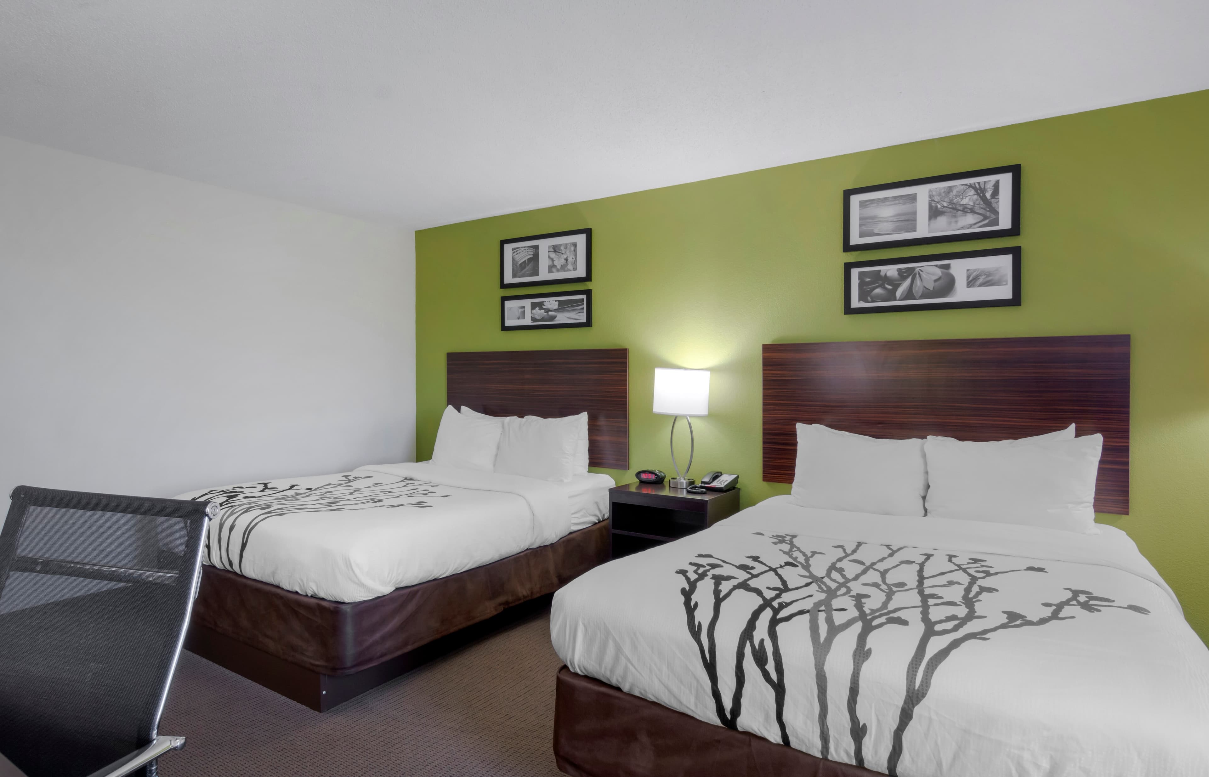 Sleep Inn & Suites Prince George near Fort Lee - Image 4