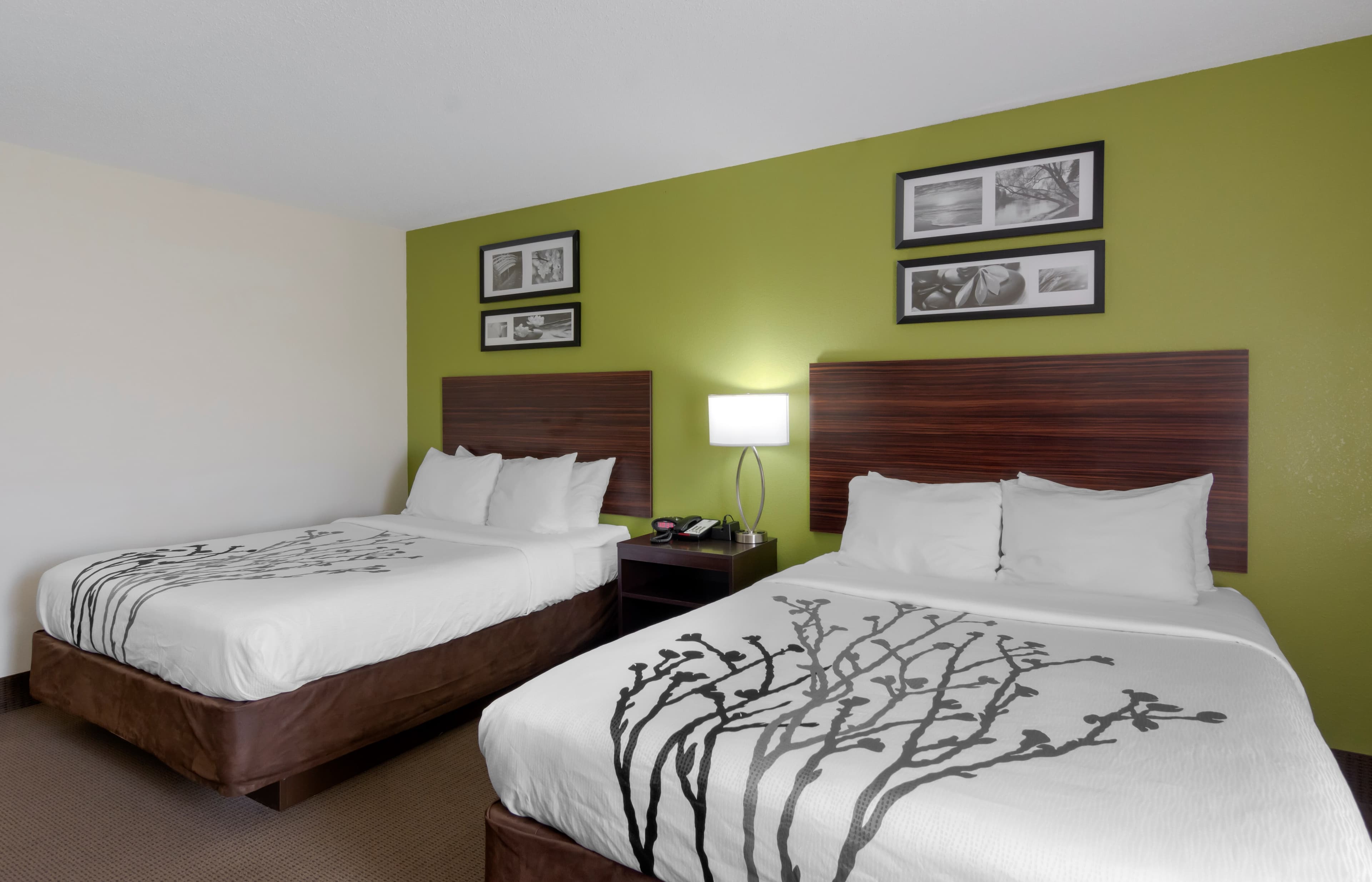Sleep Inn & Suites Prince George near Fort Lee — 11