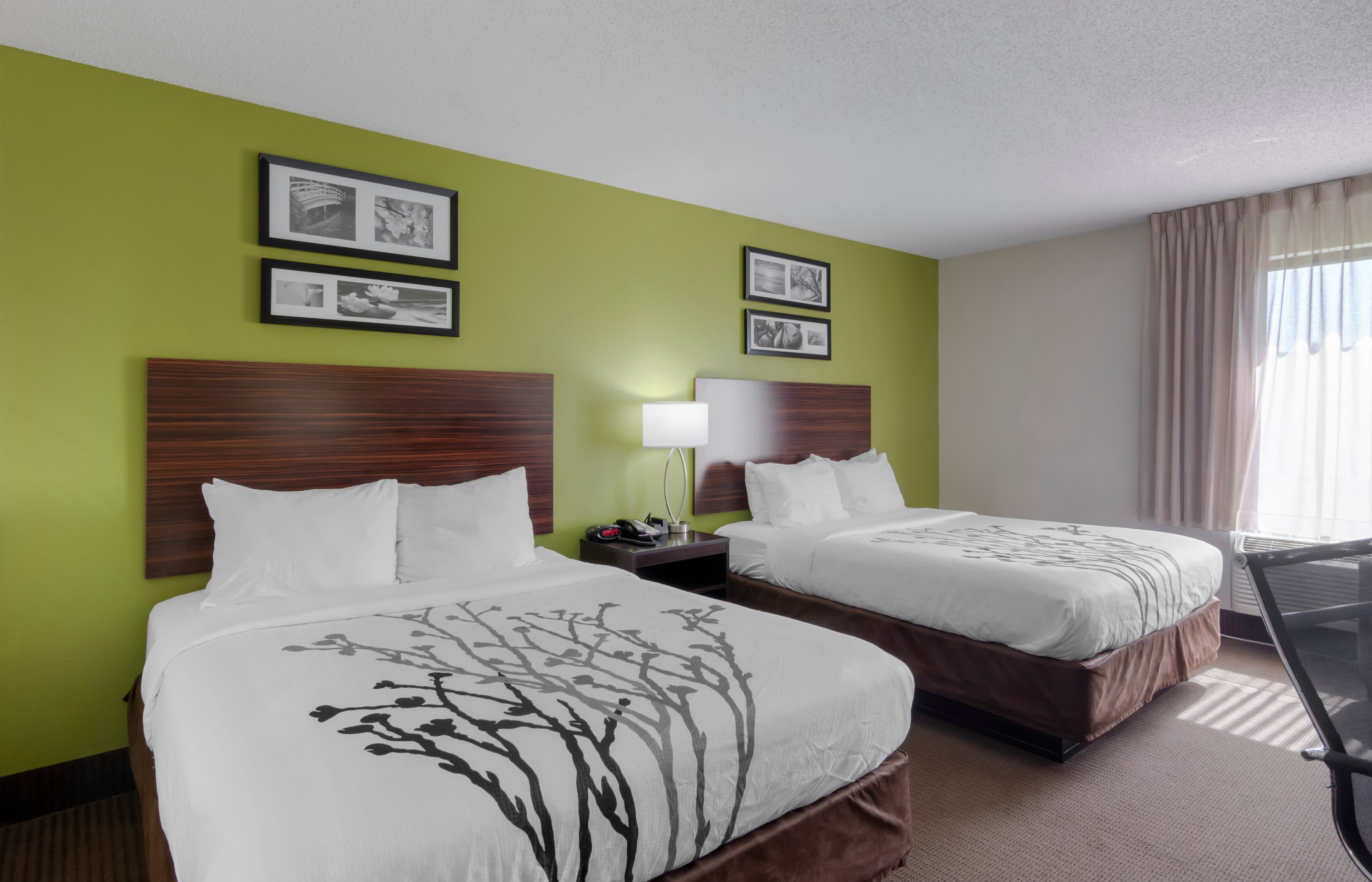 Sleep Inn & Suites Prince George near Fort Lee — 13