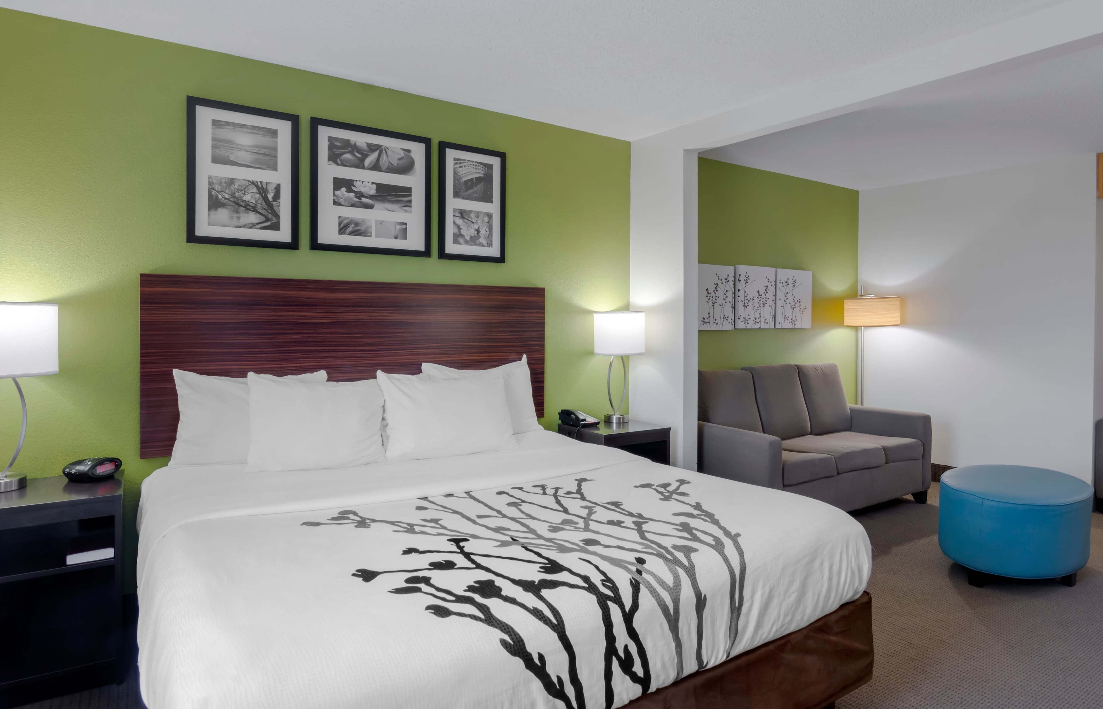 Sleep Inn & Suites Prince George near Fort Lee — 24