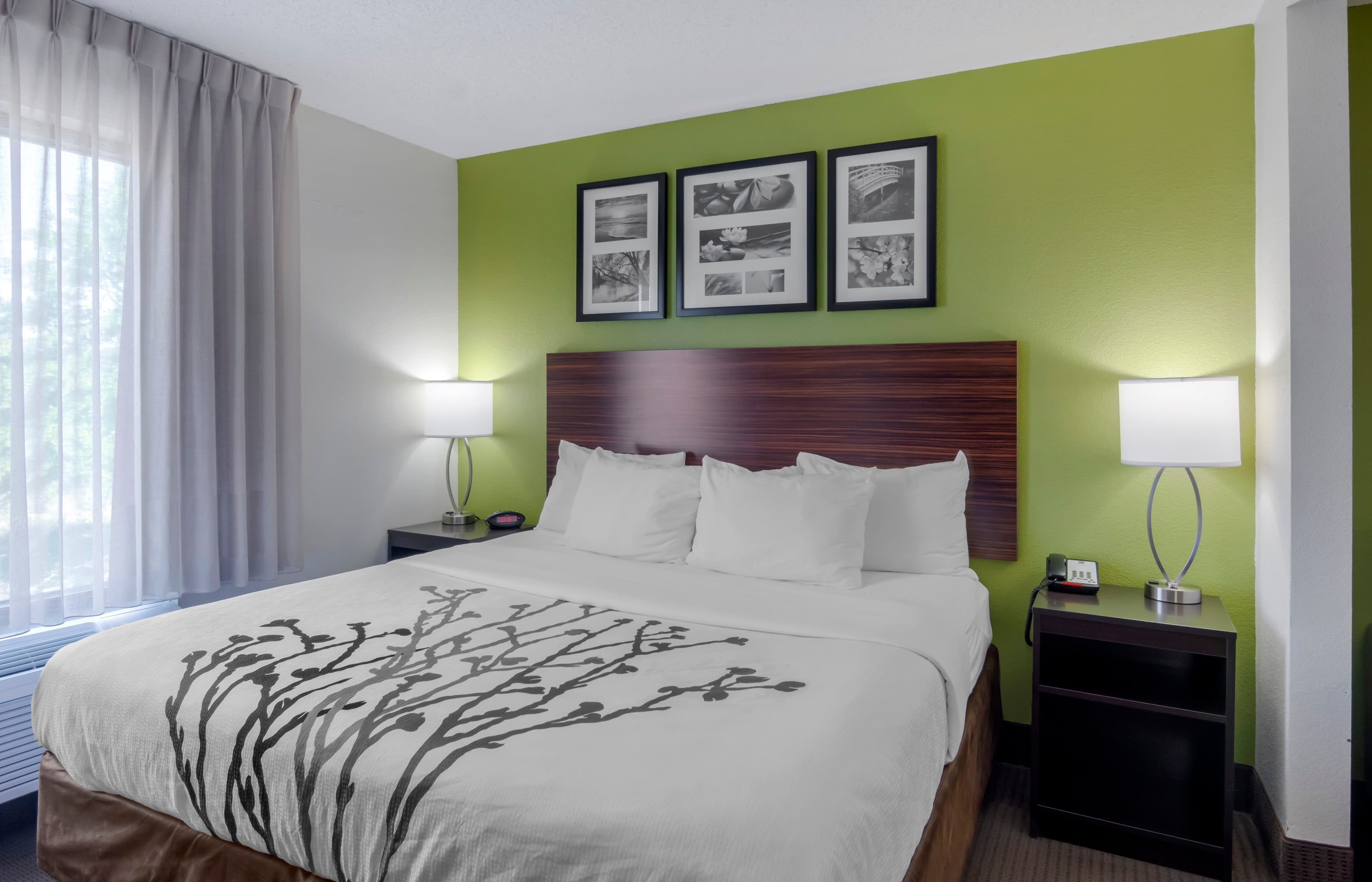 Sleep Inn & Suites Prince George near Fort Lee - Image 2
