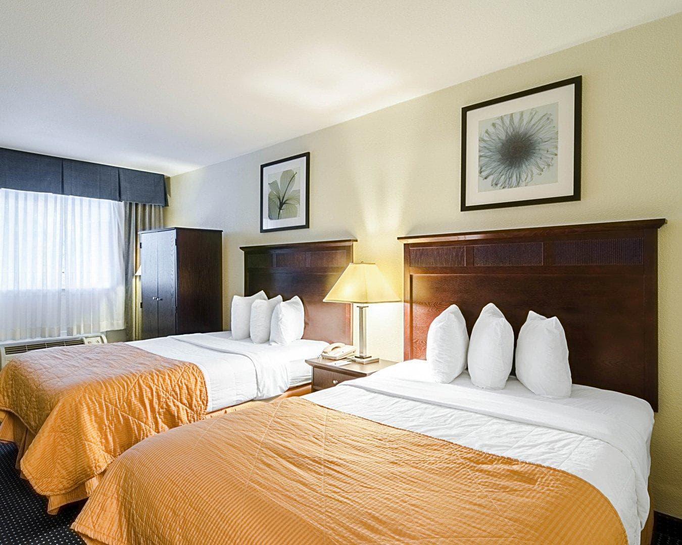 Rodeway Inn & Suites Williamsburg Central - Image 2