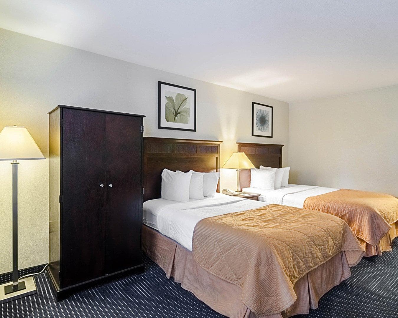 Rodeway Inn & Suites Williamsburg Central - Image 3