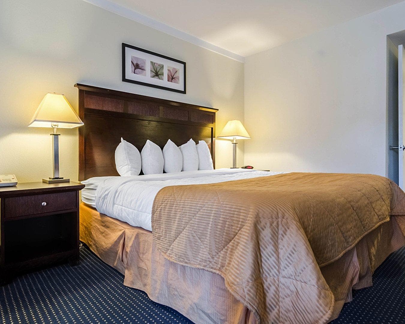 Rodeway Inn & Suites Williamsburg Central - Image 5