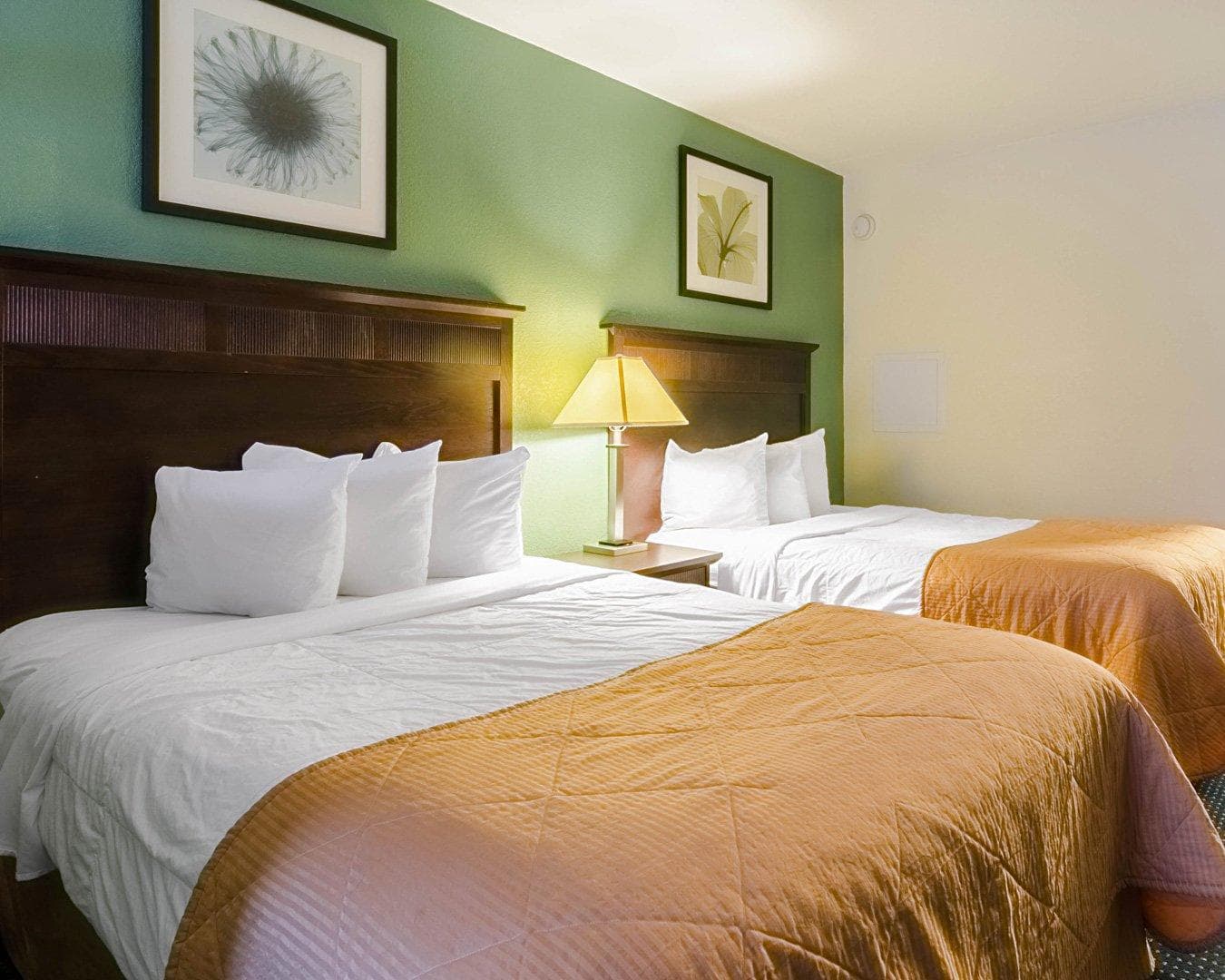 Rodeway Inn & Suites Williamsburg Central — 12