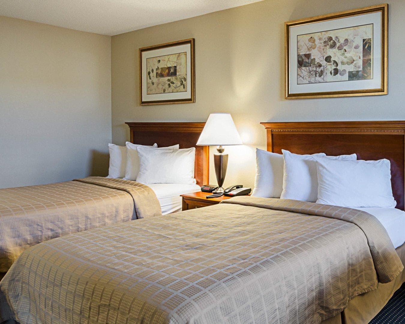 Quality Inn Troutville - Roanoke North - Image 2