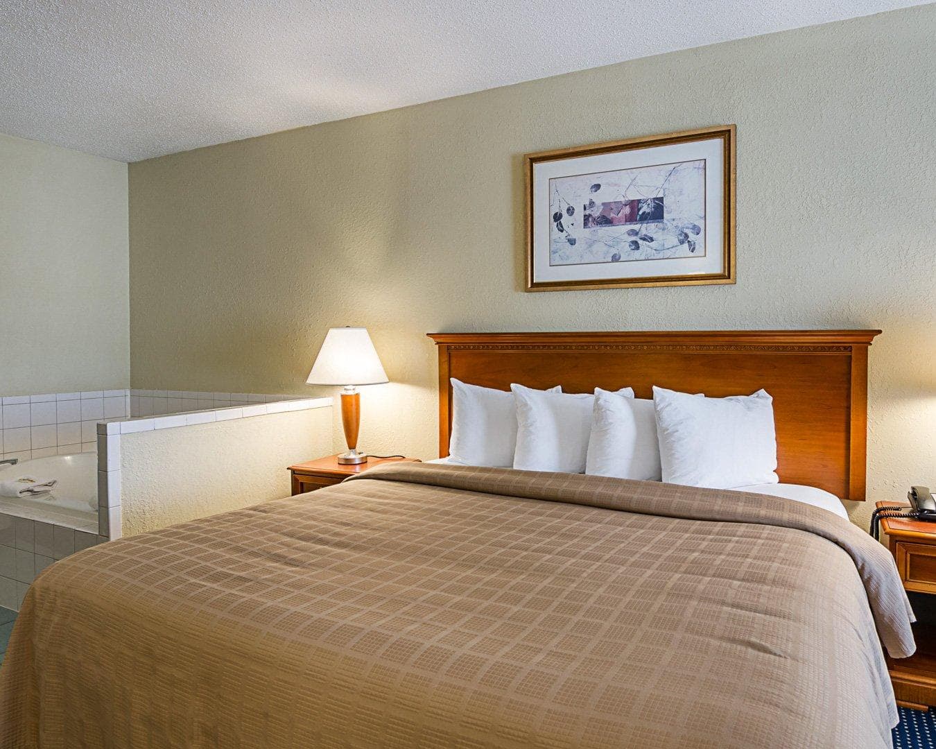 Quality Inn Troutville - Roanoke North — 35