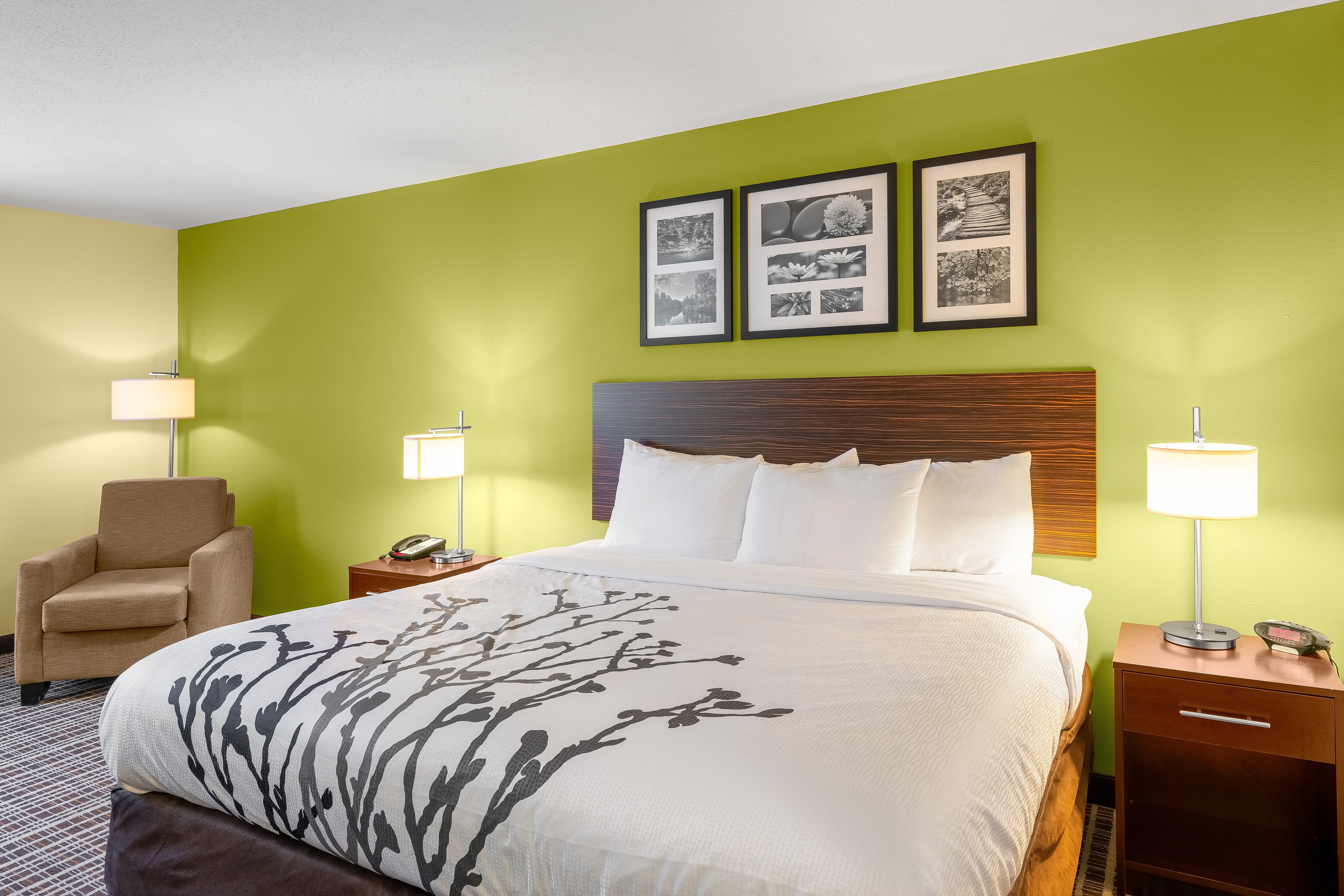 Sleep Inn & Suites Harbour Pointe - Image 2