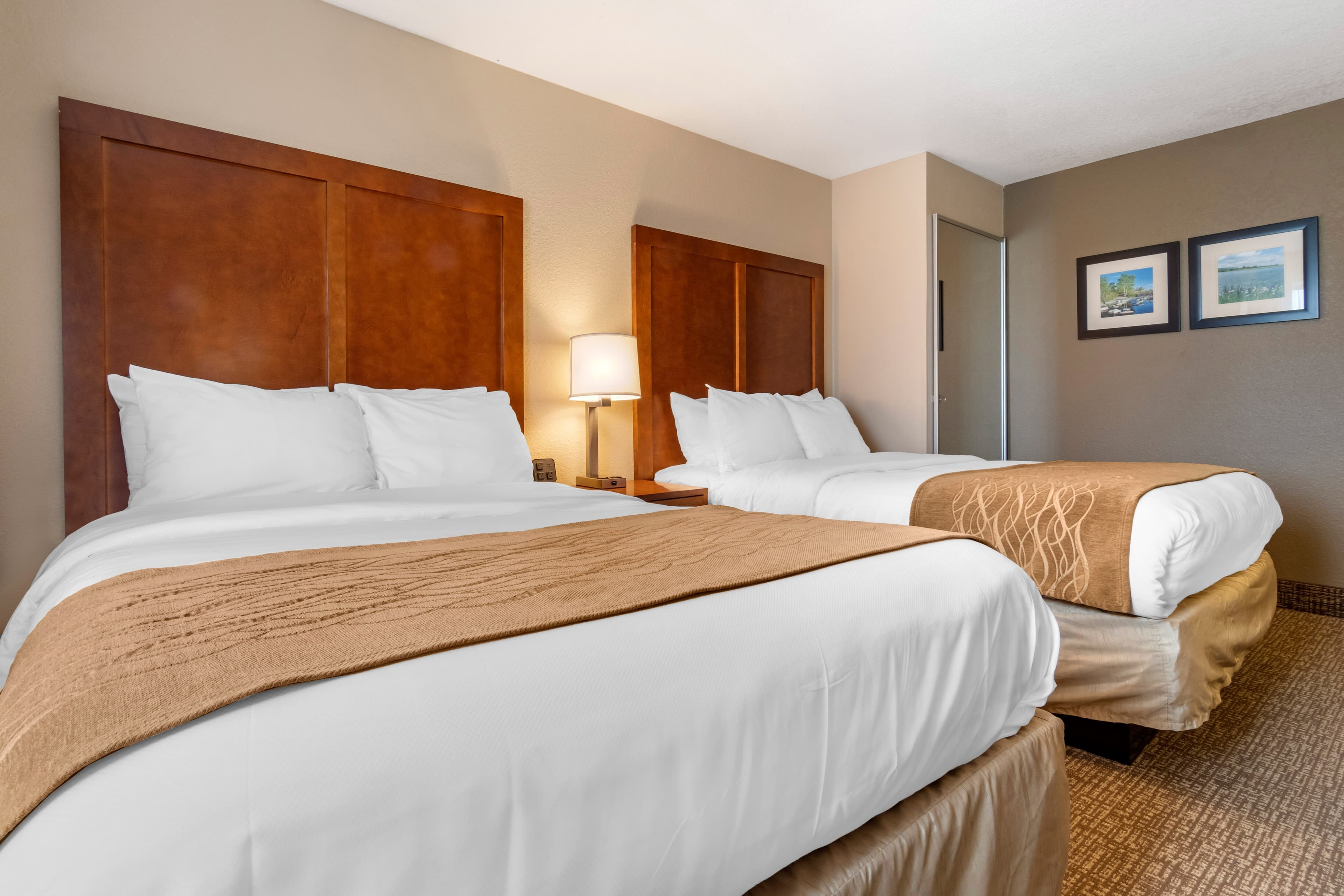 Comfort Inn & Suites South Hill I-85 - Image 3
