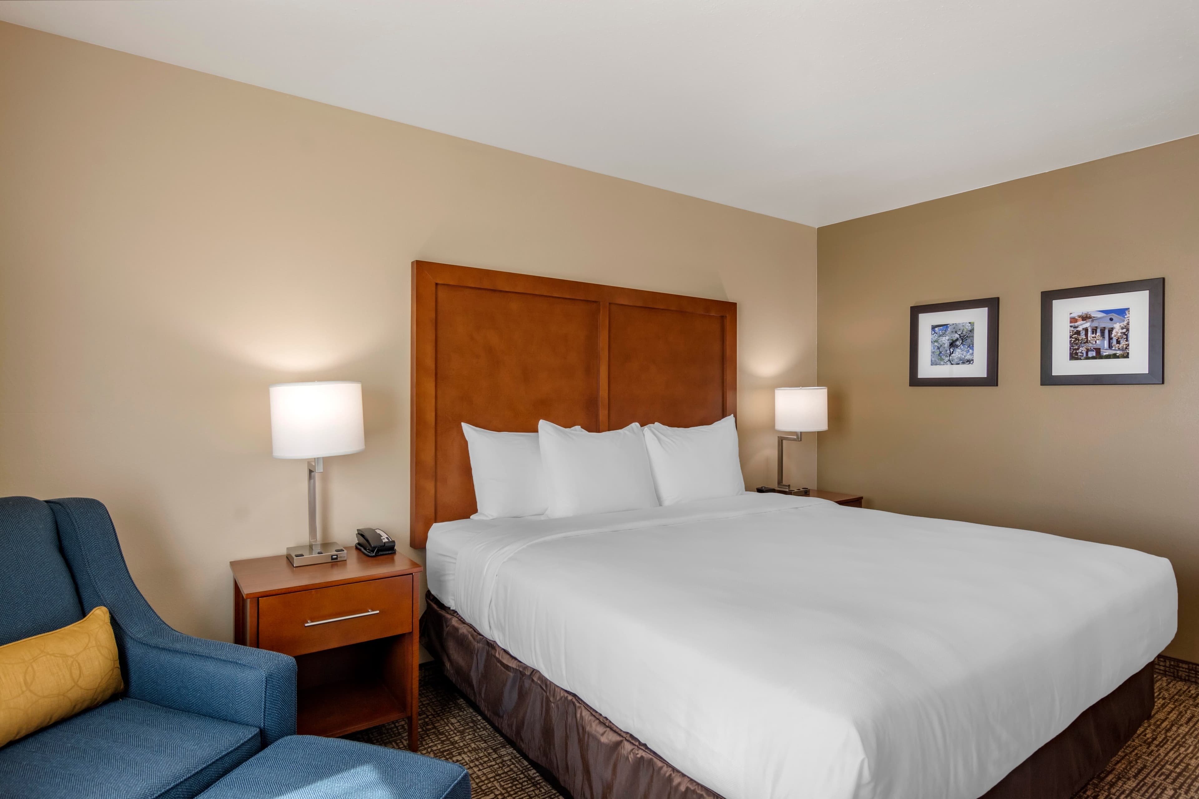 Comfort Inn & Suites Charlottesville Hollymead Town Center - Image 4
