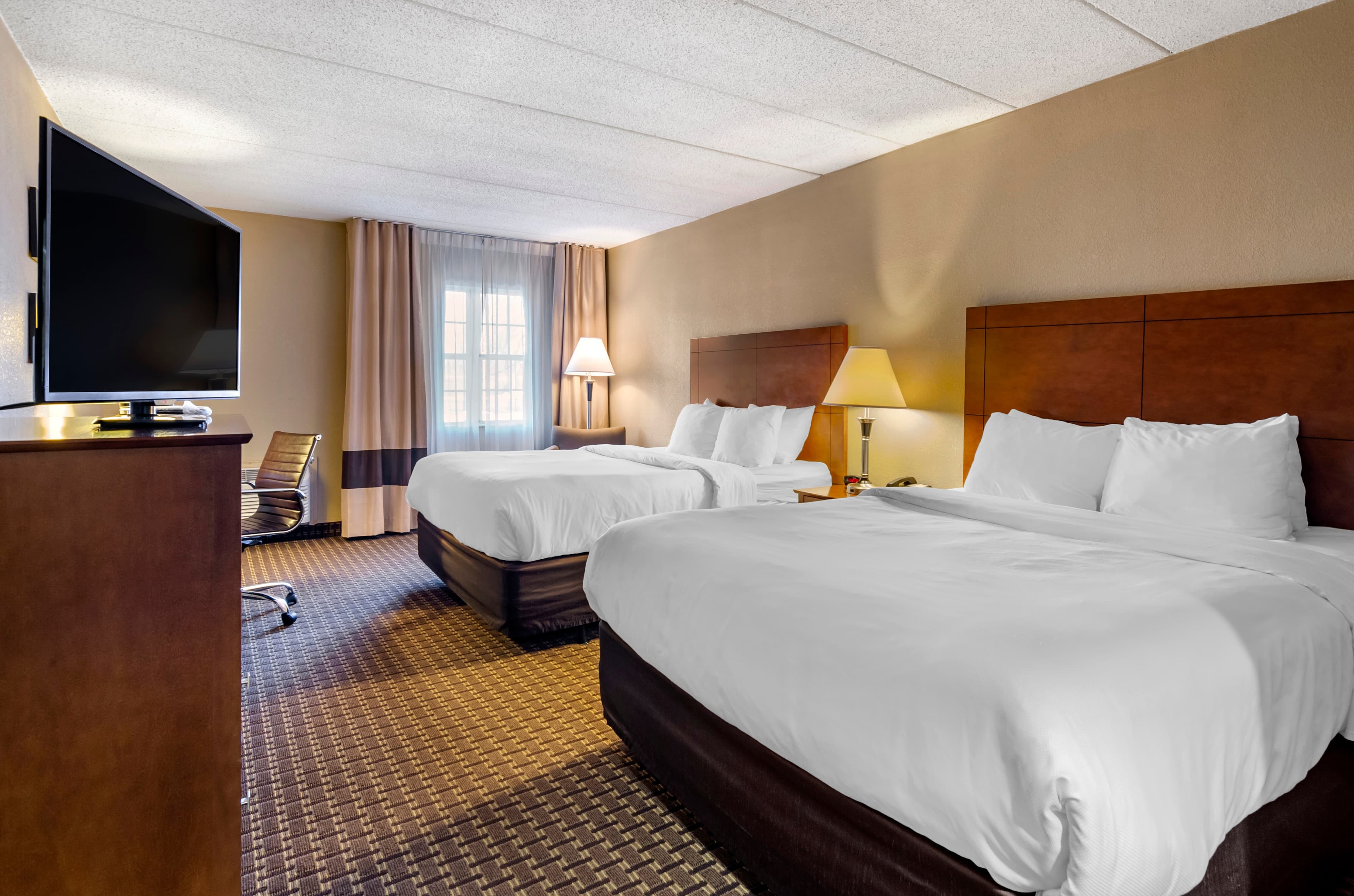 Comfort Inn & Suites Raphine - Lexington near I-81 and I-64 - Image 2
