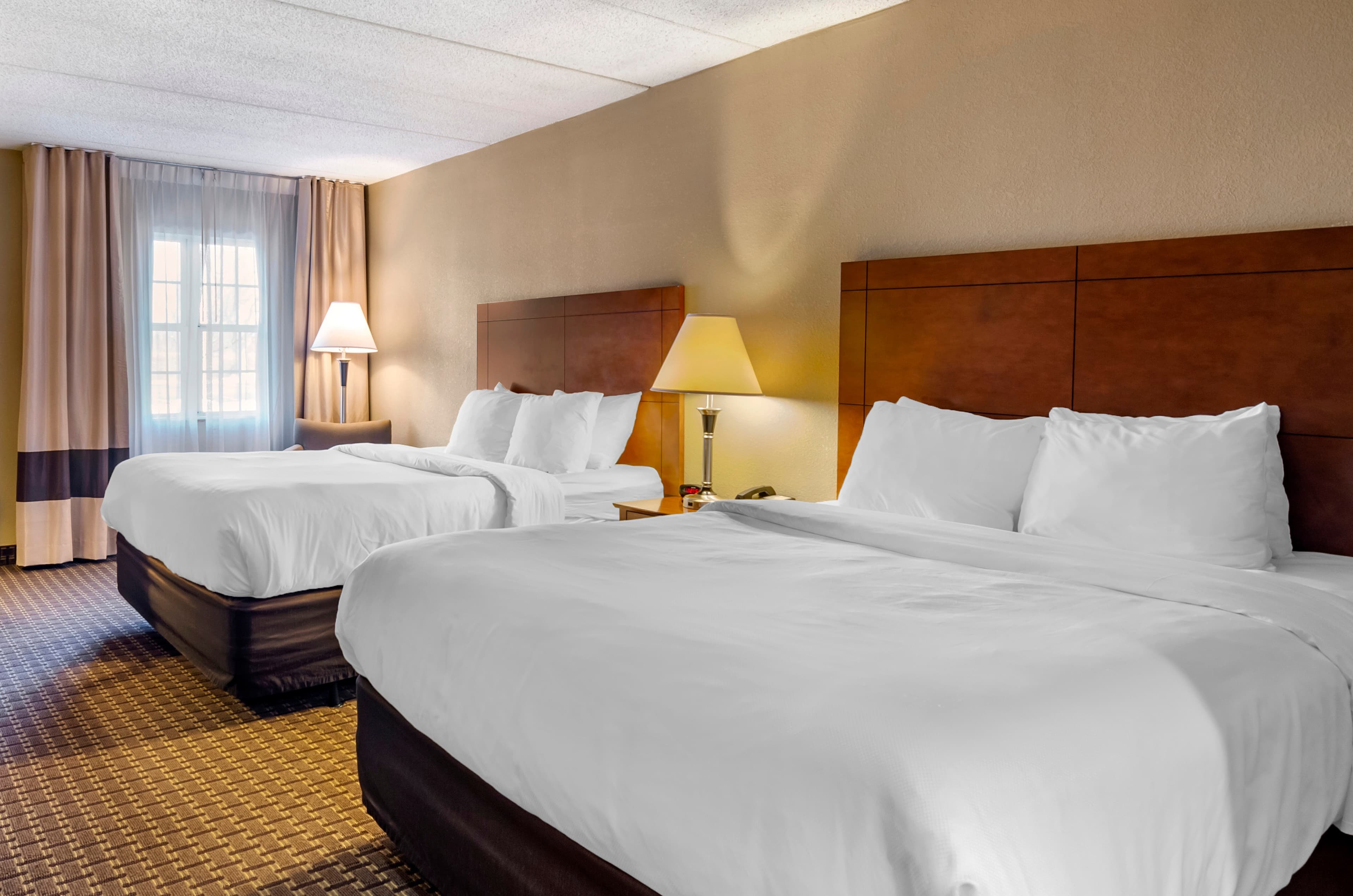 Comfort Inn & Suites Raphine - Lexington near I-81 and I-64 - Image 4