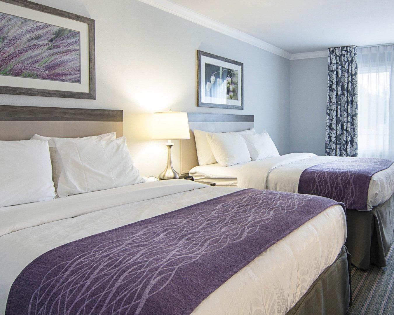 Comfort Inn Williamsburg Gateway — 17