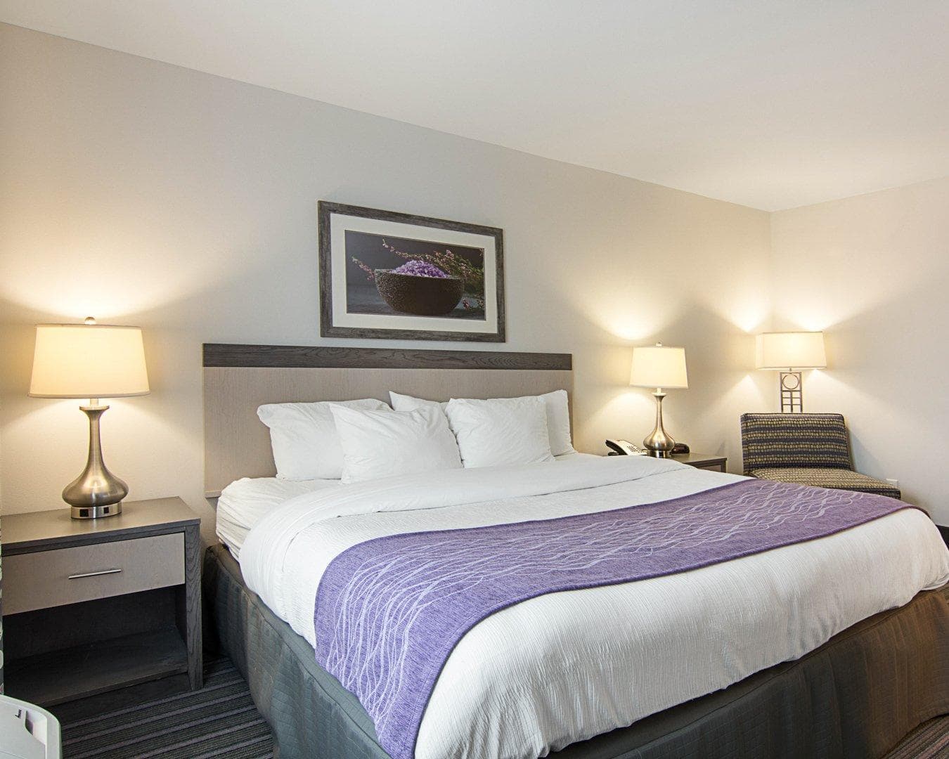 Comfort Inn Williamsburg Gateway - Image 3