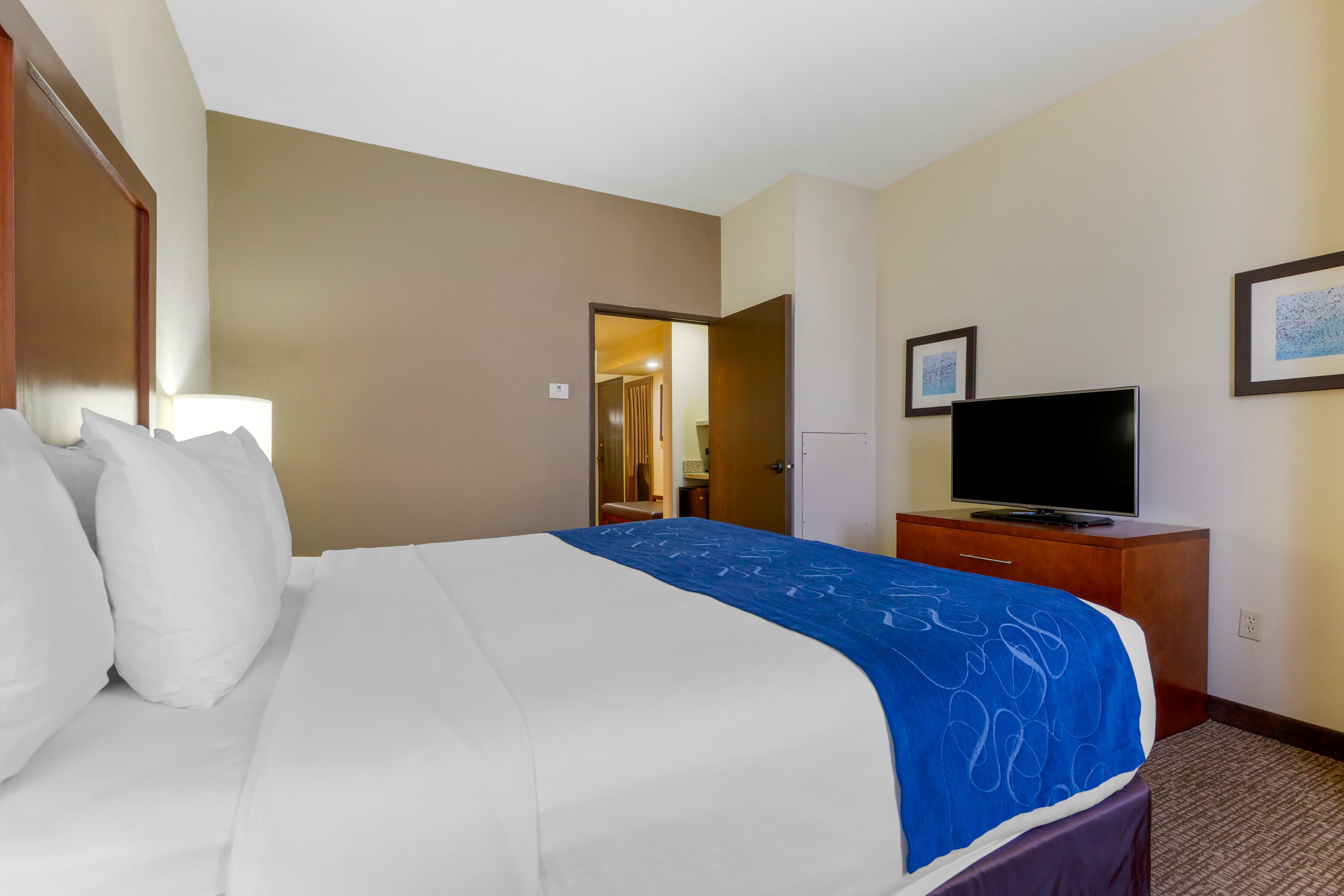 Comfort Suites Fredericksburg South - Image 5