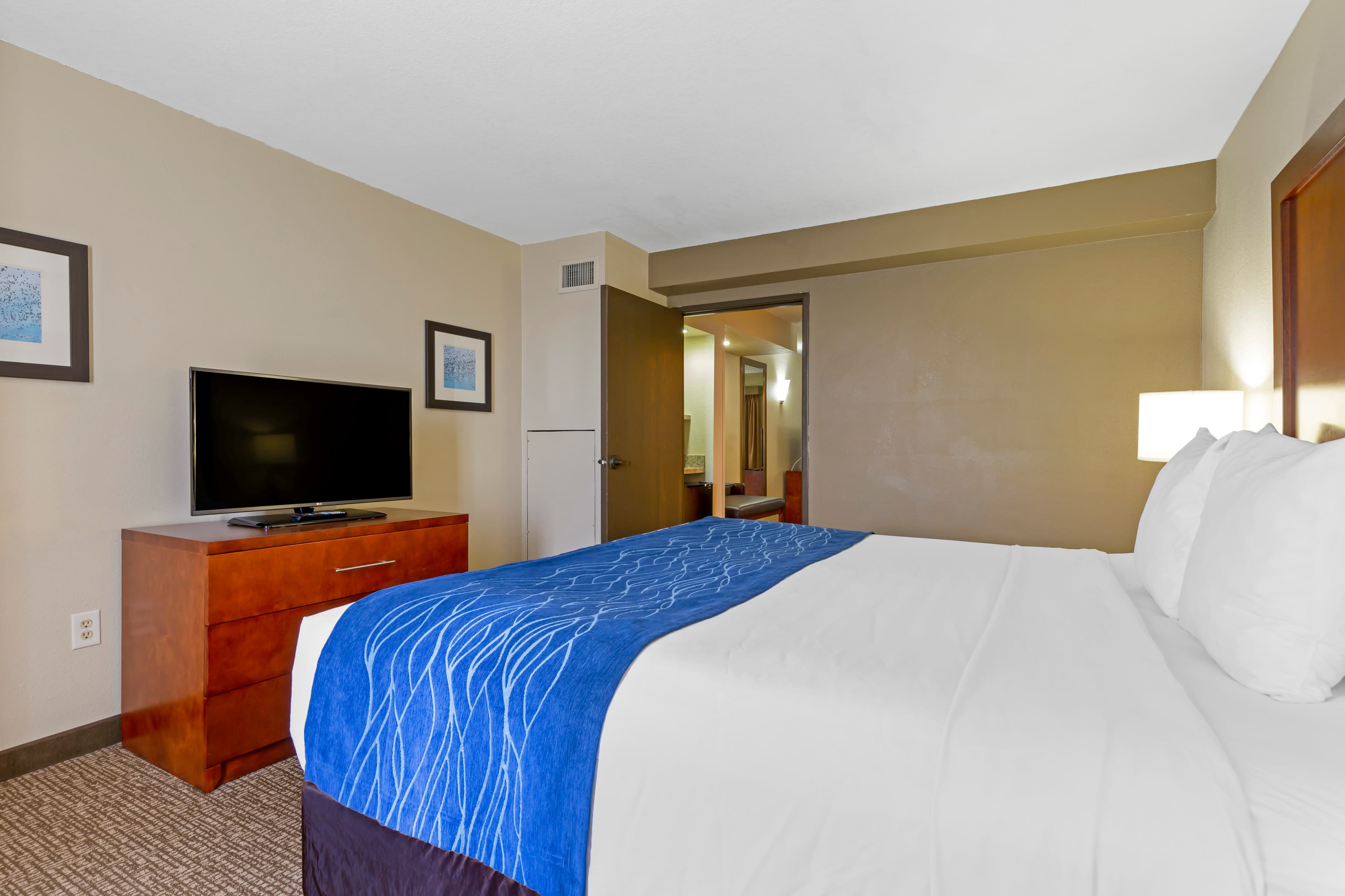 Comfort Suites Fredericksburg South — 12