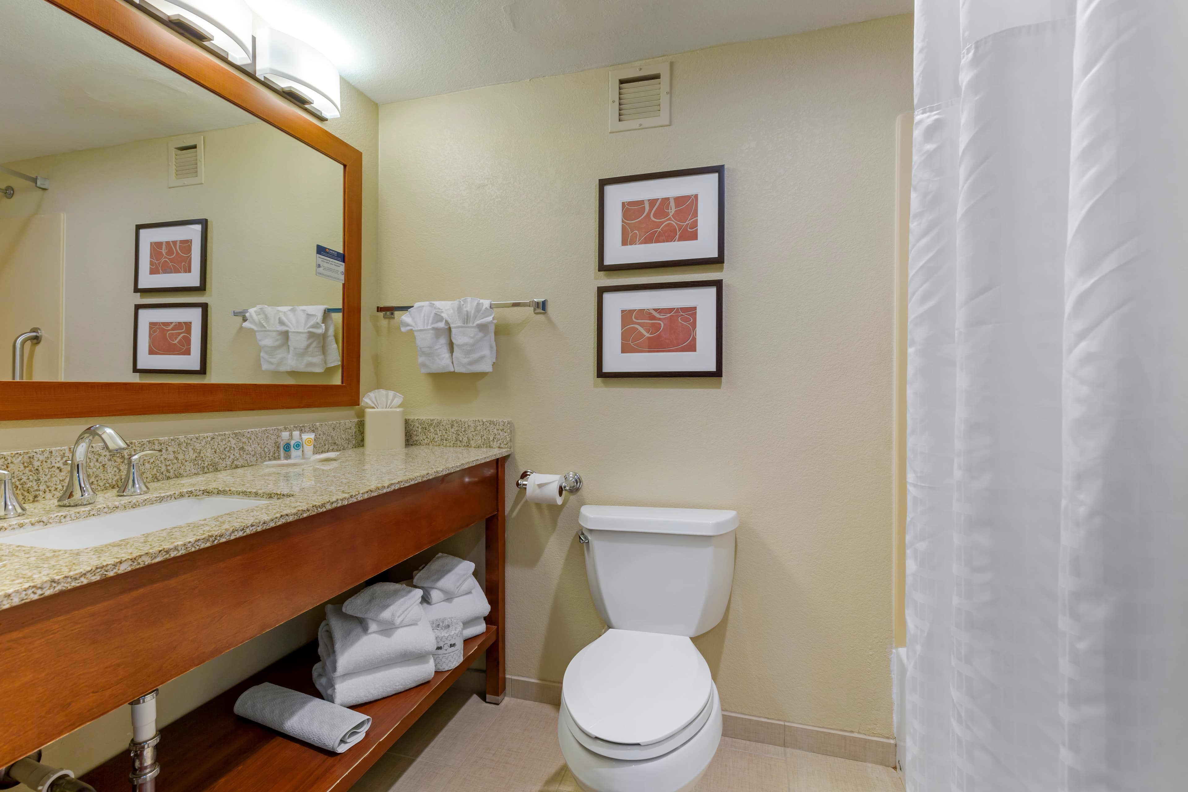 Comfort Suites Fredericksburg South — 17