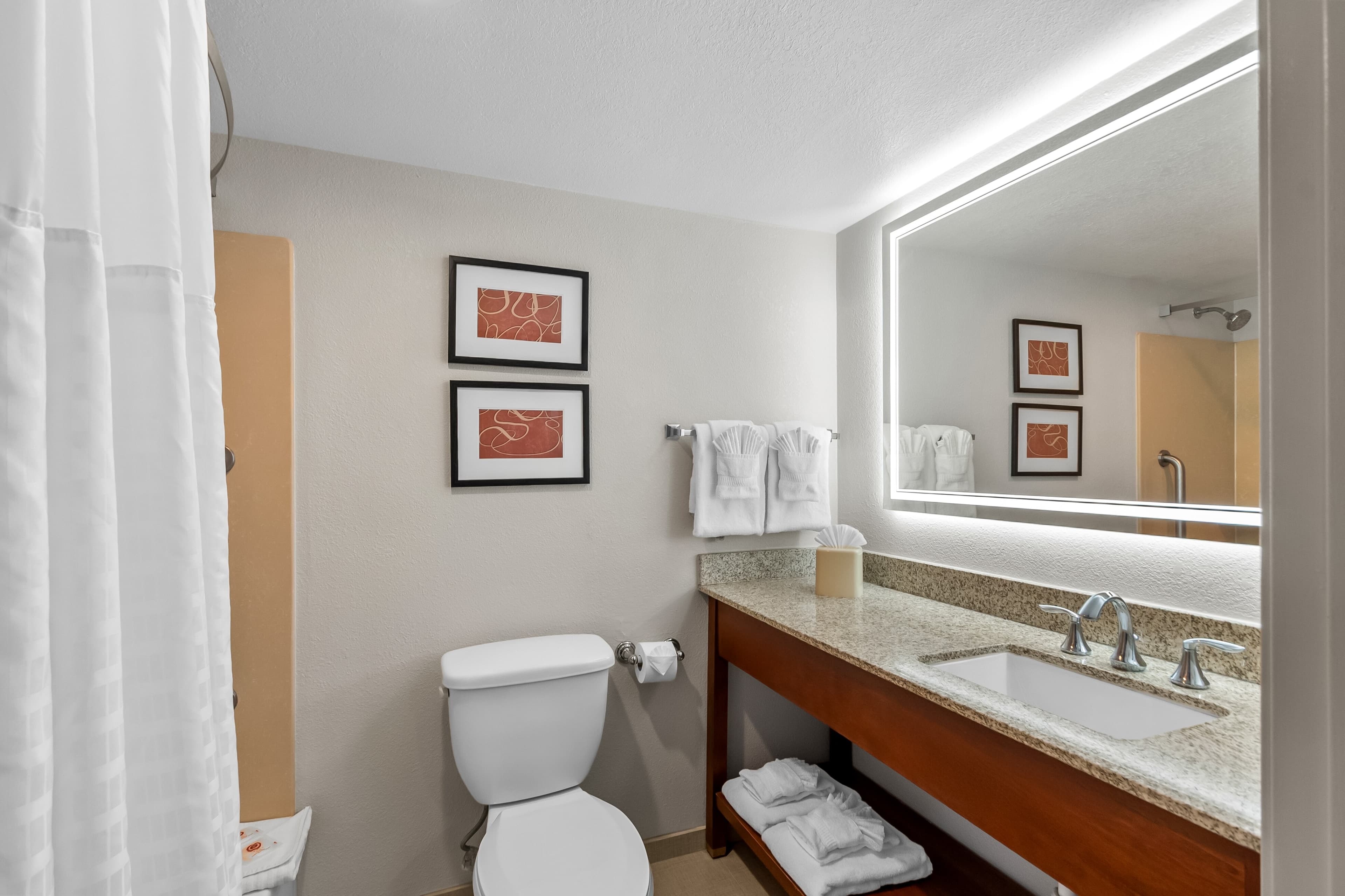 Comfort Suites Near Potomac Mills — 21
