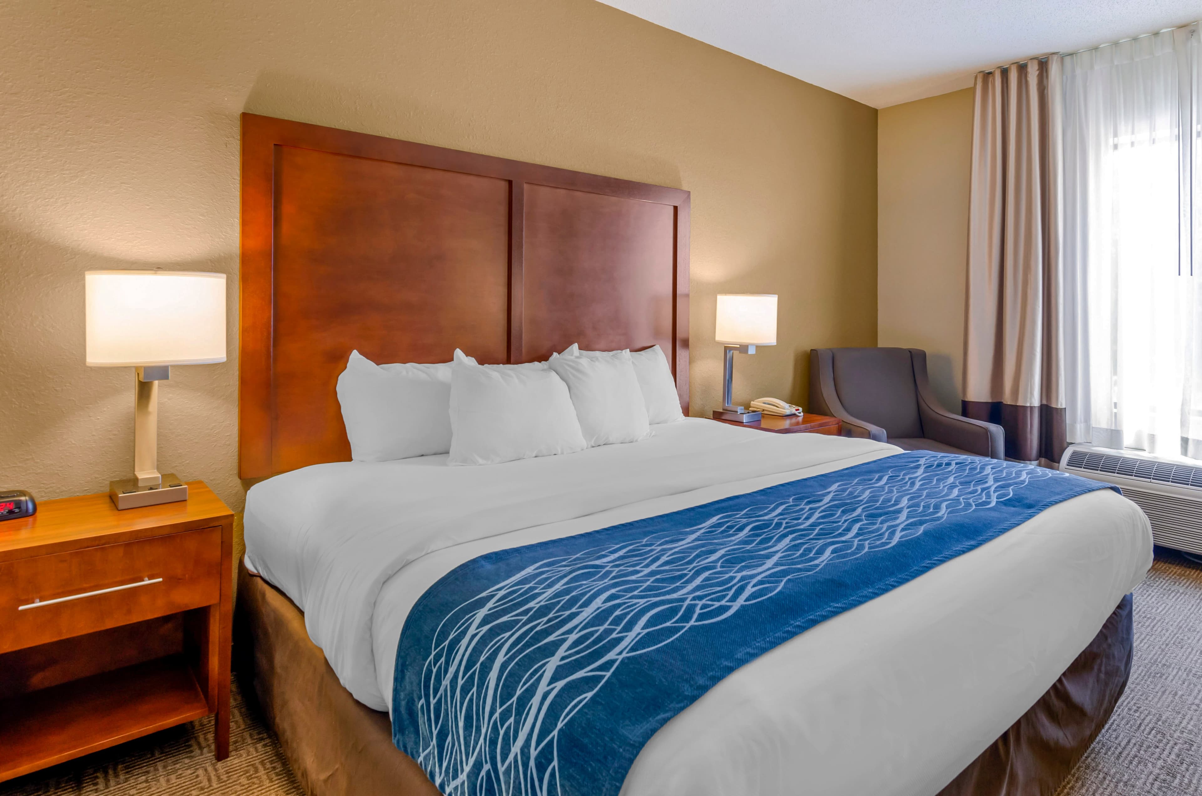 Comfort Inn & Suites Lynchburg Airport - University Area - Image 3
