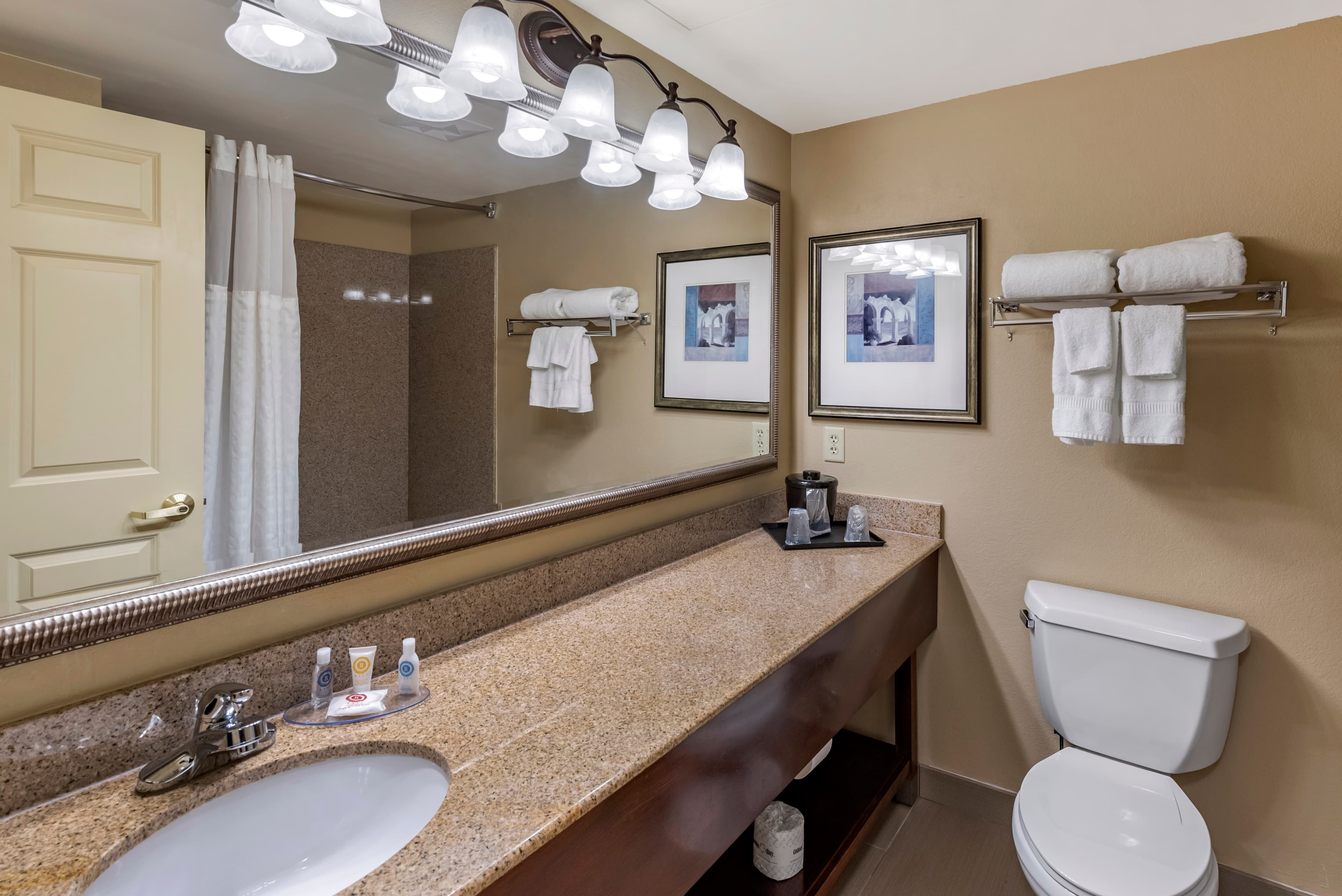 Comfort Inn & Suites Virginia Beach - Norfolk Airport — 9